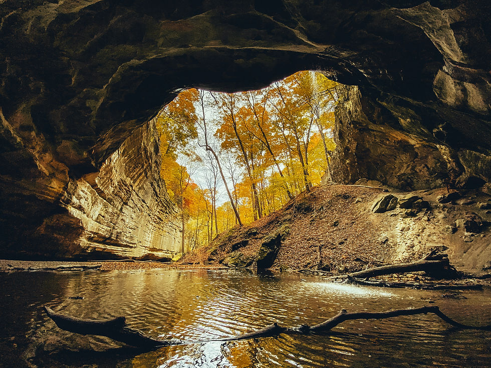 Starved Rock State Park canyon fall foliage