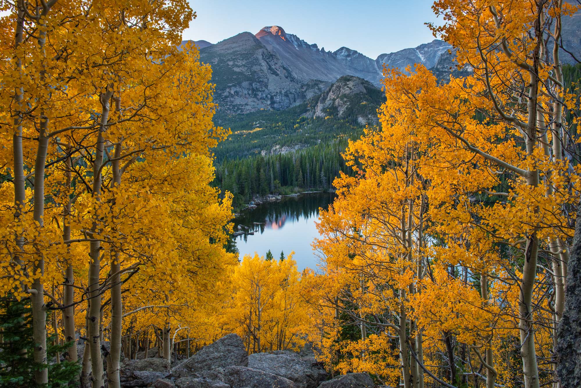 colorado rocky mountain fall foliage aspen