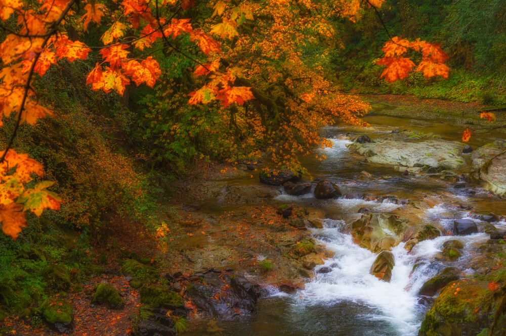 McKenzie Pass fall colors Oregon