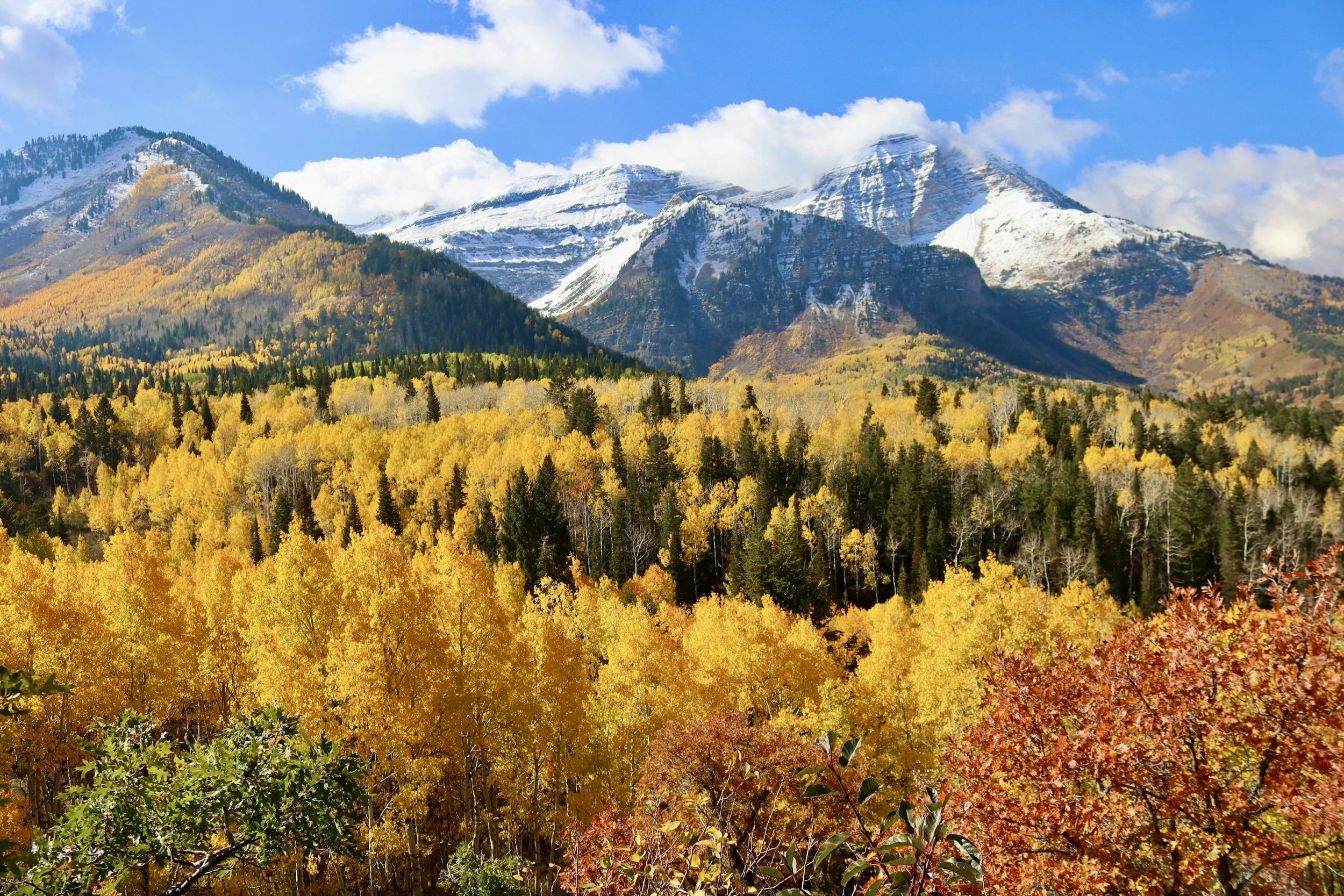 Alpine Loop Utah fall aspens