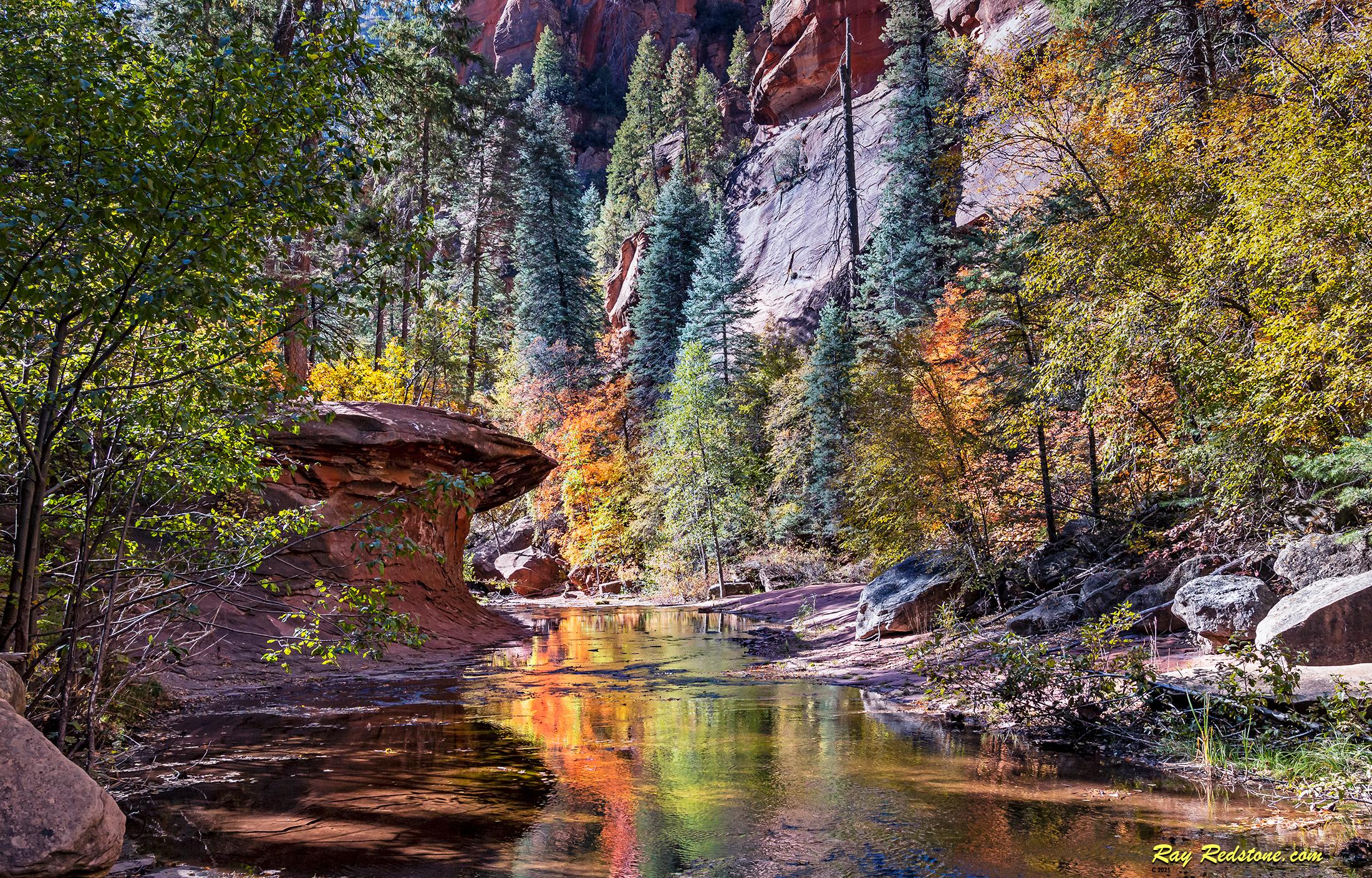 Oak Creek Canyon Sedona autumn