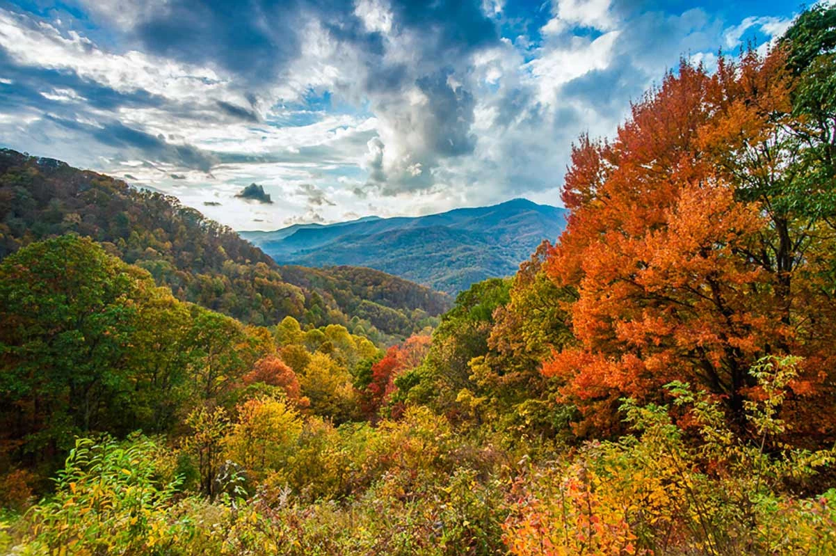 Shenandoah National Park autumn overlook Blue Ridge Mountains