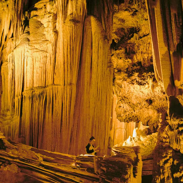 Luray Caverns cathedral room stalactites
