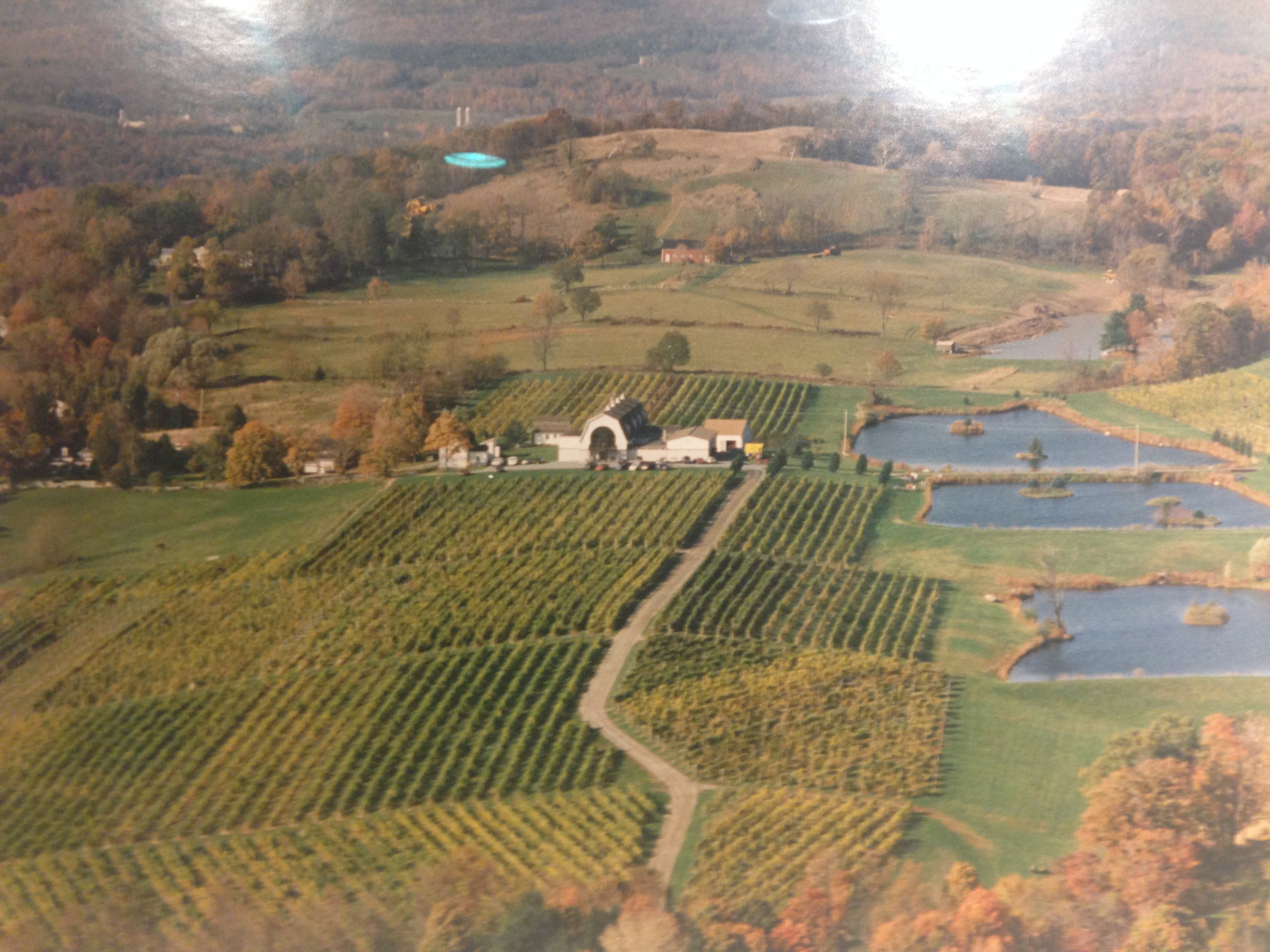 Millbrook Vineyards vineyard Hudson Valley