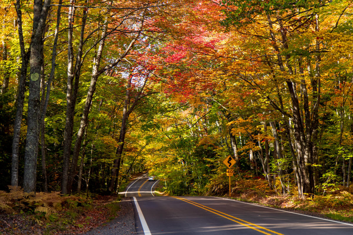 Keweenaw Peninsula fall foliage road tunnel