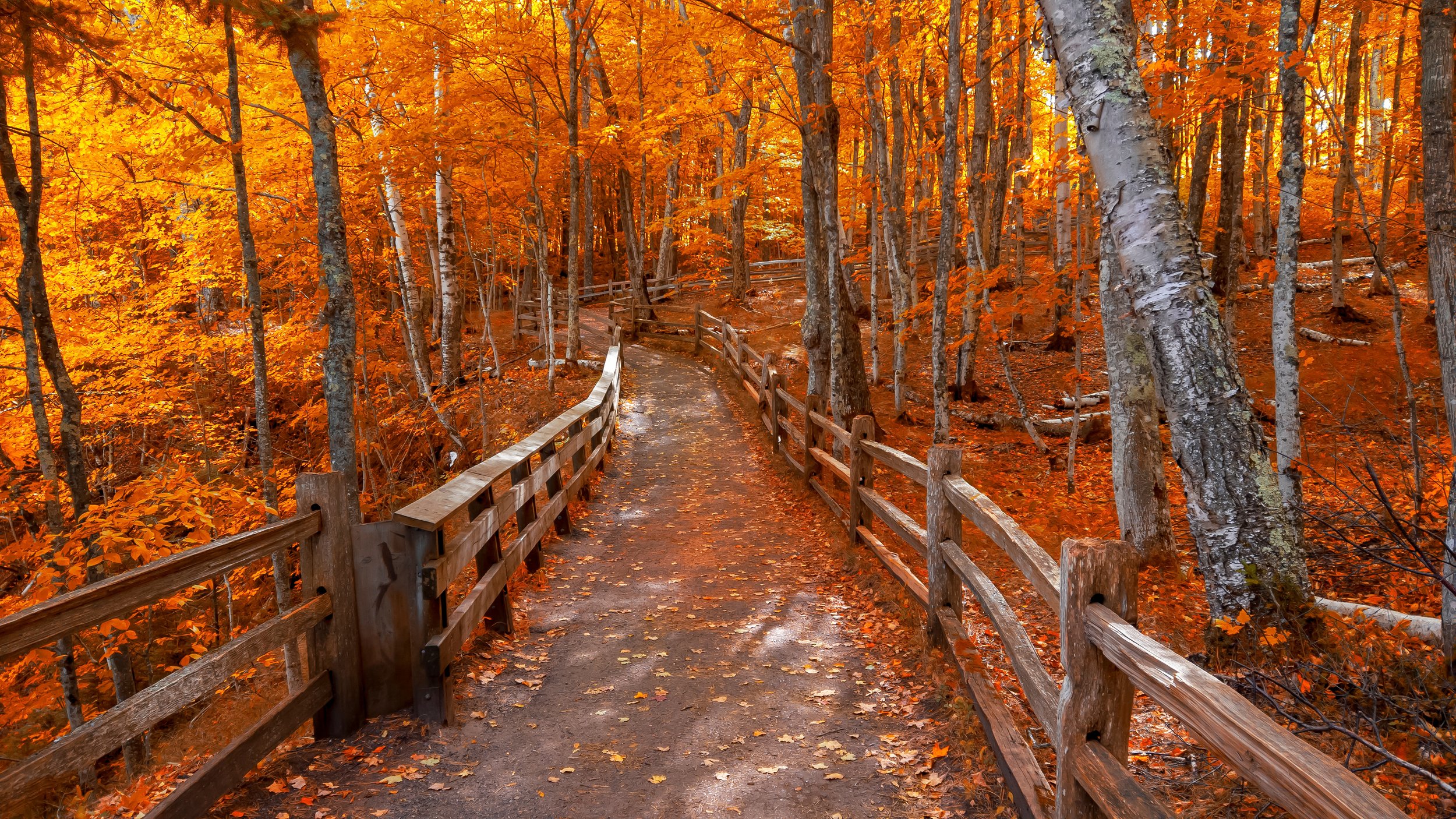Upper Peninsula Michigan fall hiking trail autumn colors