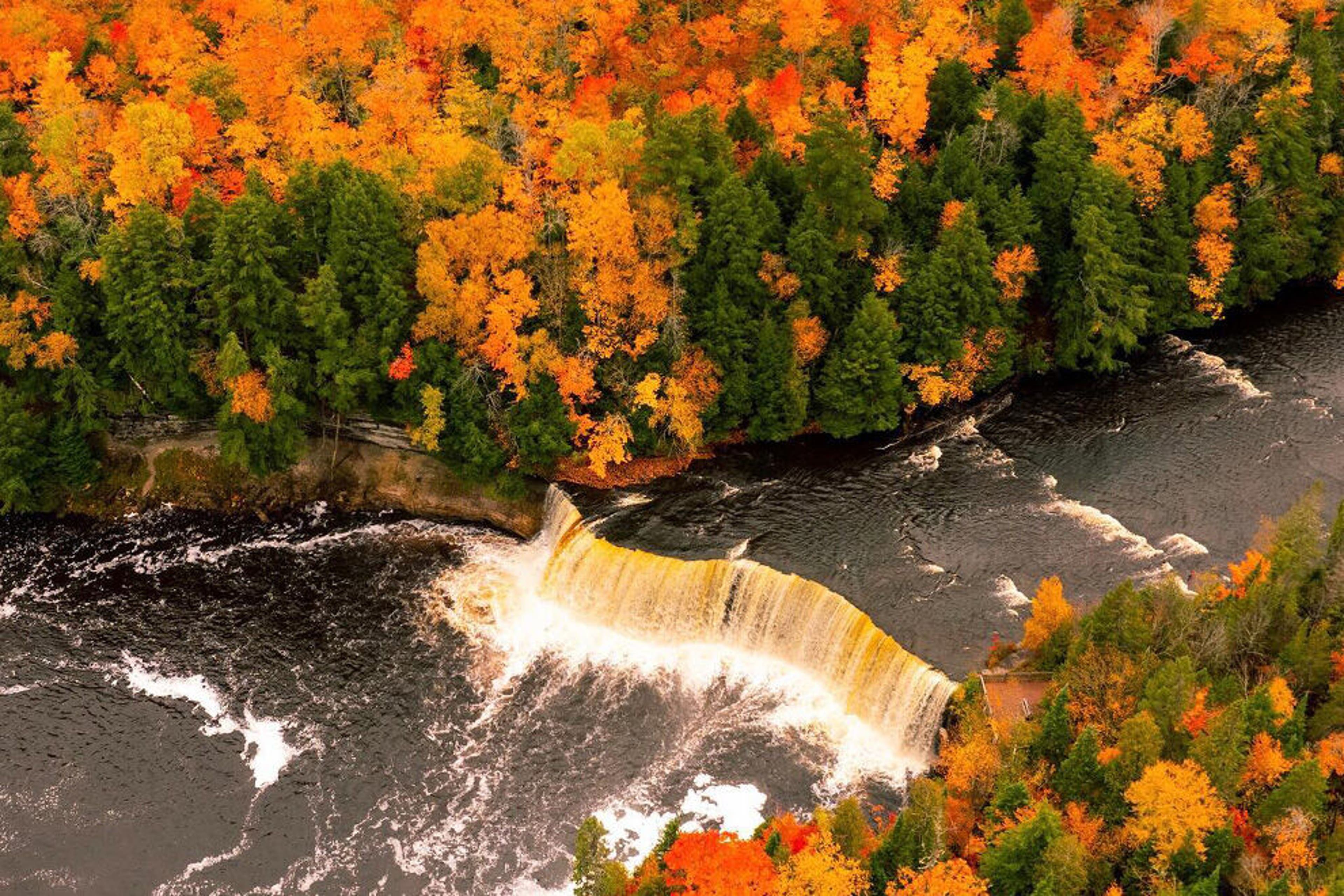 Tahquamenon Falls autumn foliage
