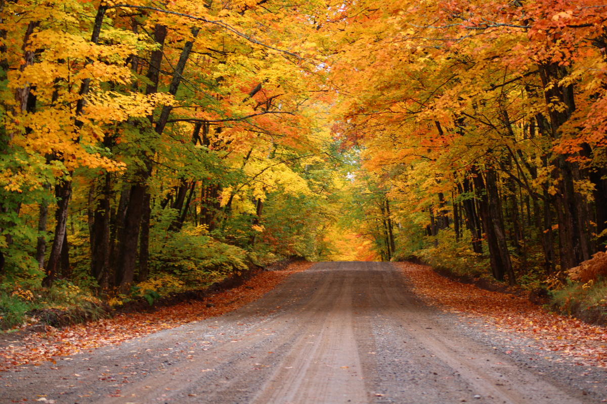 Upper Peninsula fall foliage road trip overlook