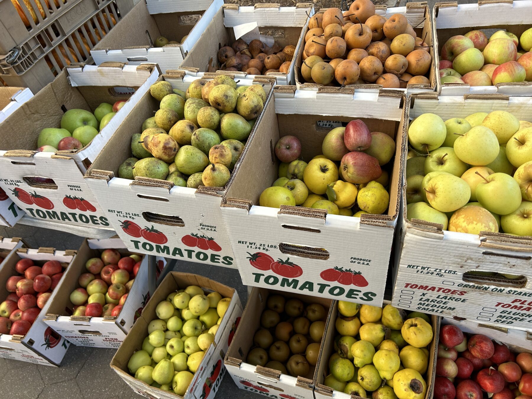 apple orchard farm stand autumn