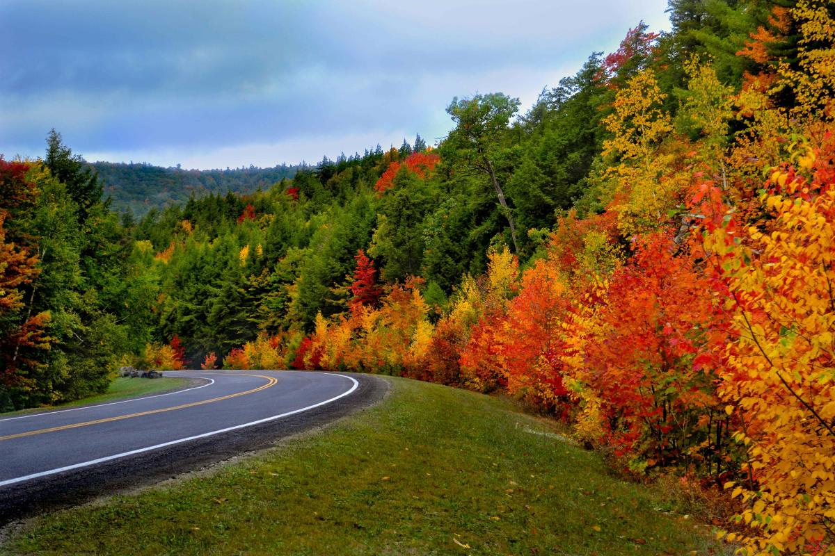 scenic fall foliage highway drive