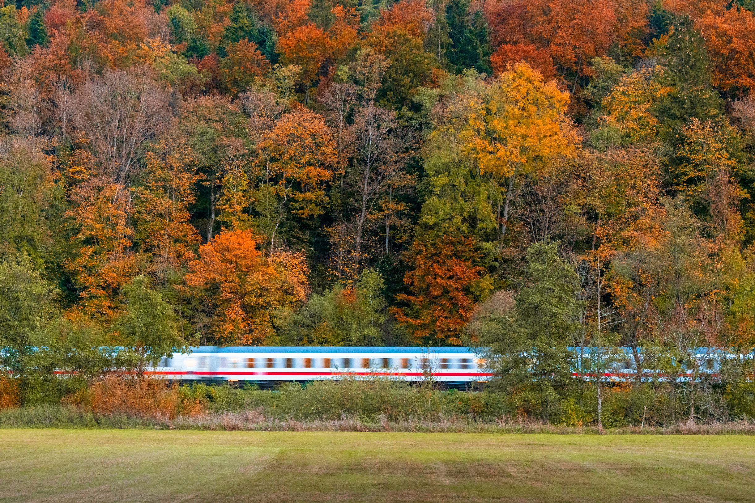 Best Fall Foliage Train Rides Across the USA You Need to Book Now