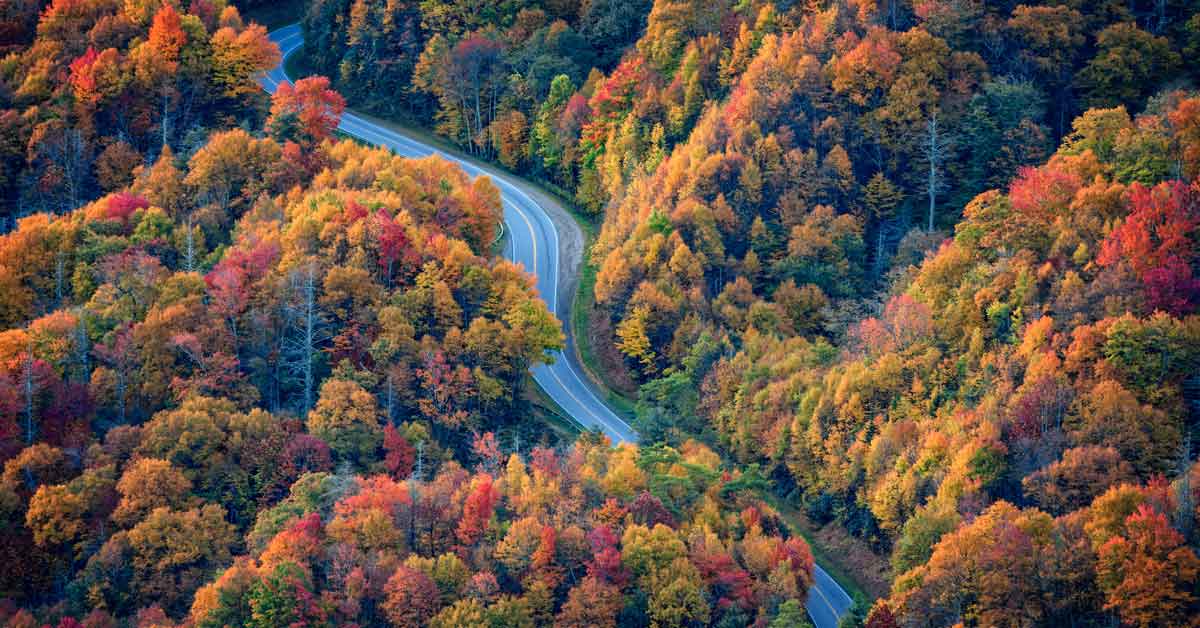 Newfound Gap Road fall foliage Great Smoky Mountains