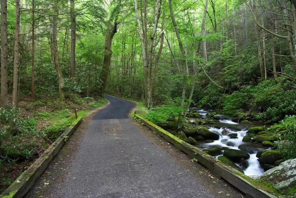 Jim Bales homestead Roaring Fork Motor Nature Trail fall