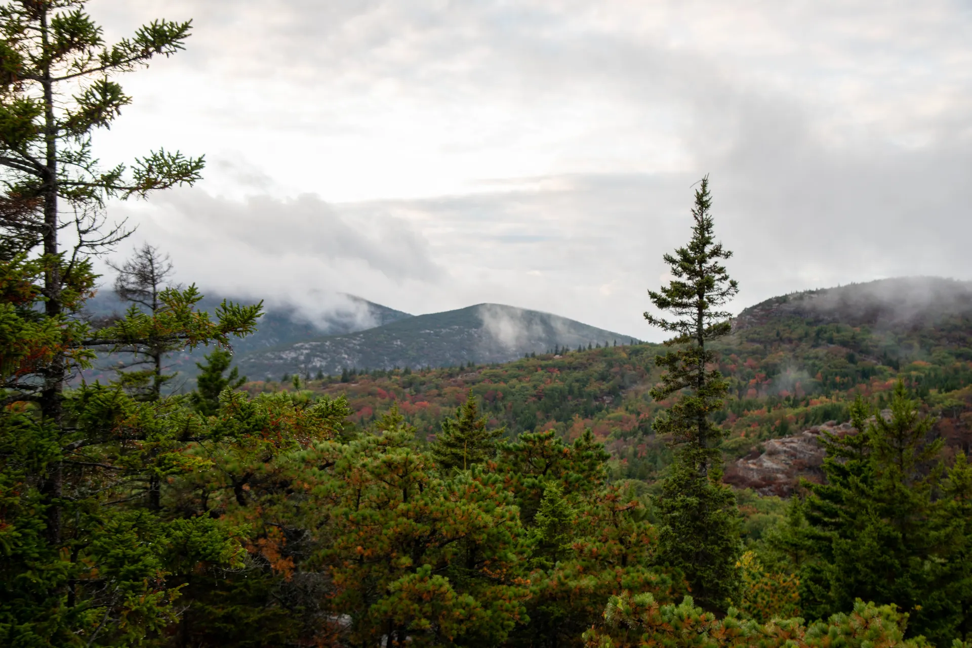 Acadia National Park fall foliage pink granite coast