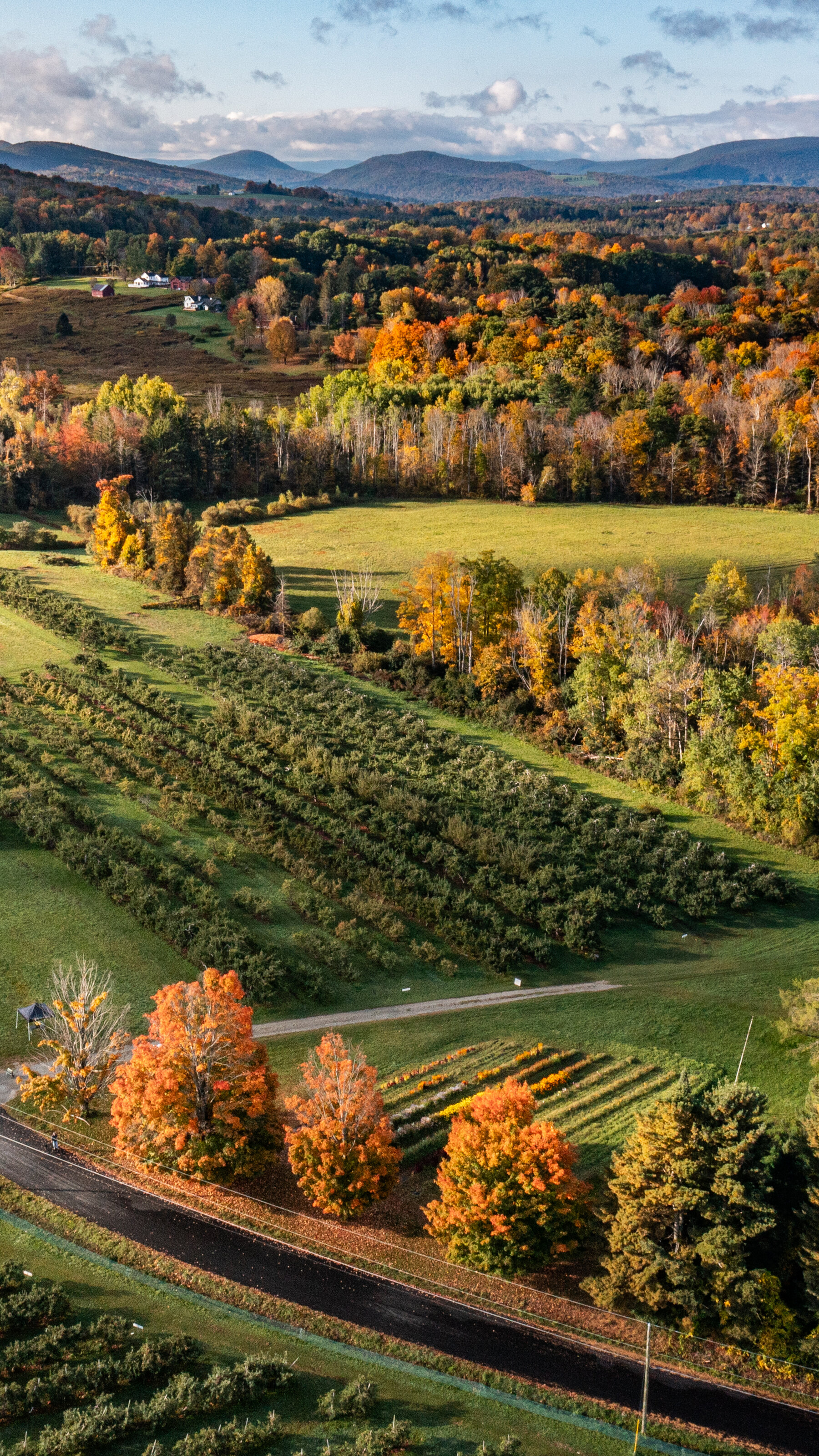 Berkshires Massachusetts fall foliage rolling hills