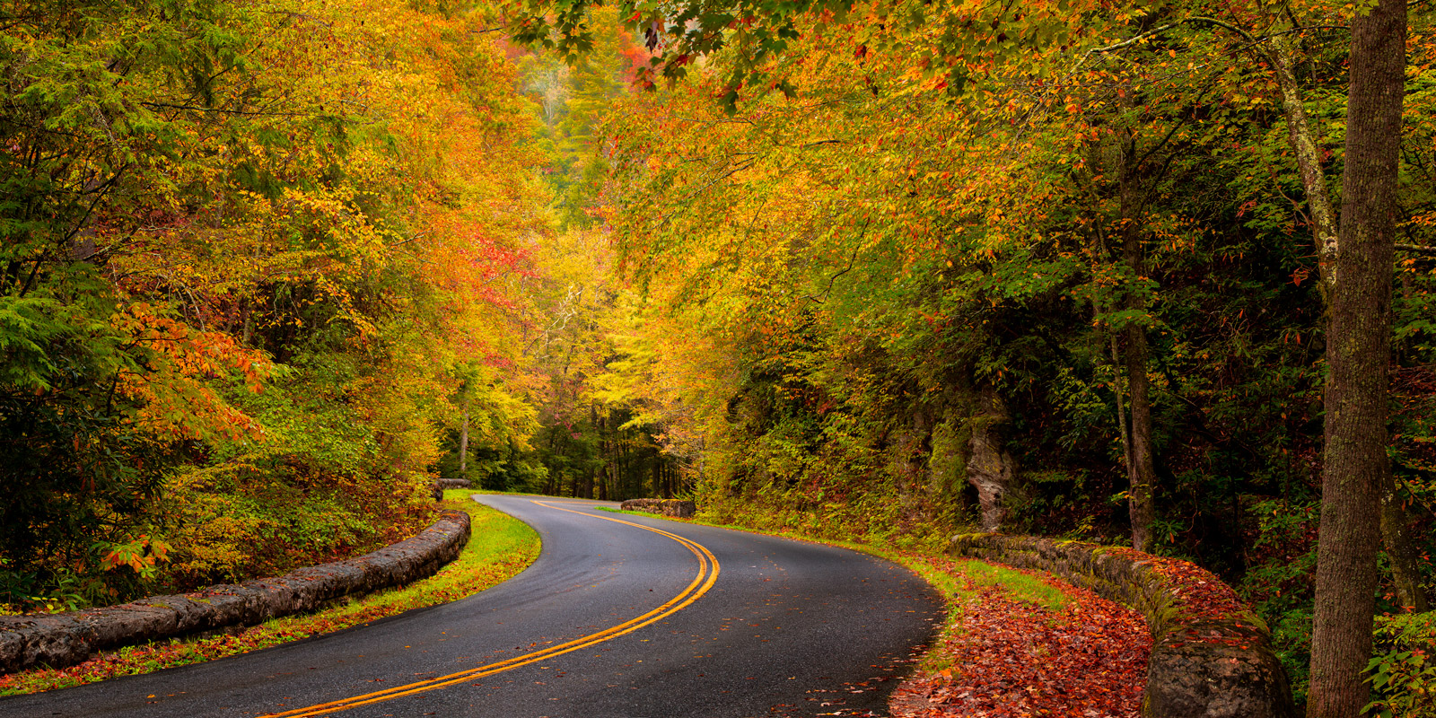 Great Smoky Mountains fall road