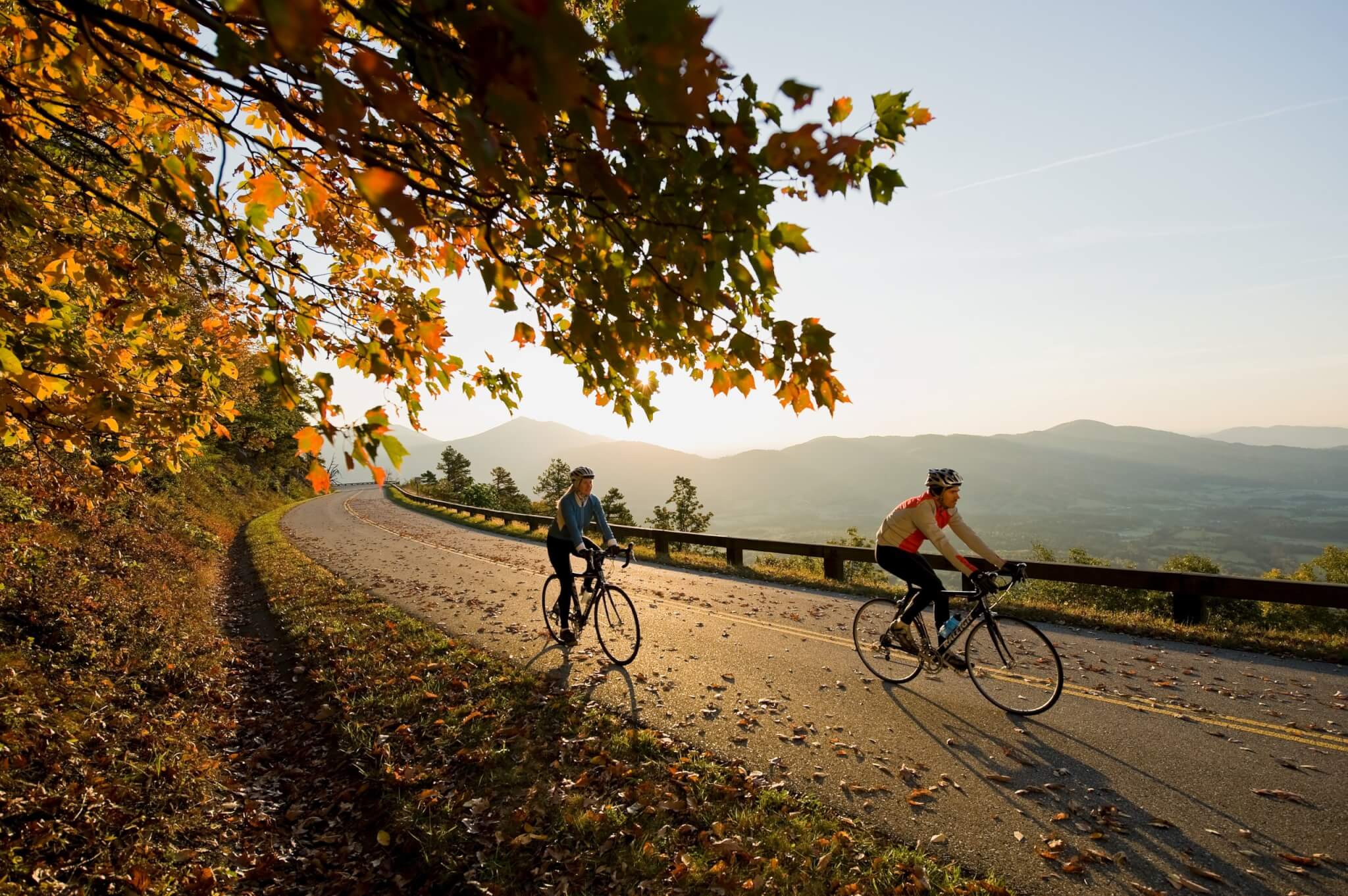 autumn mountain road fog driving safety