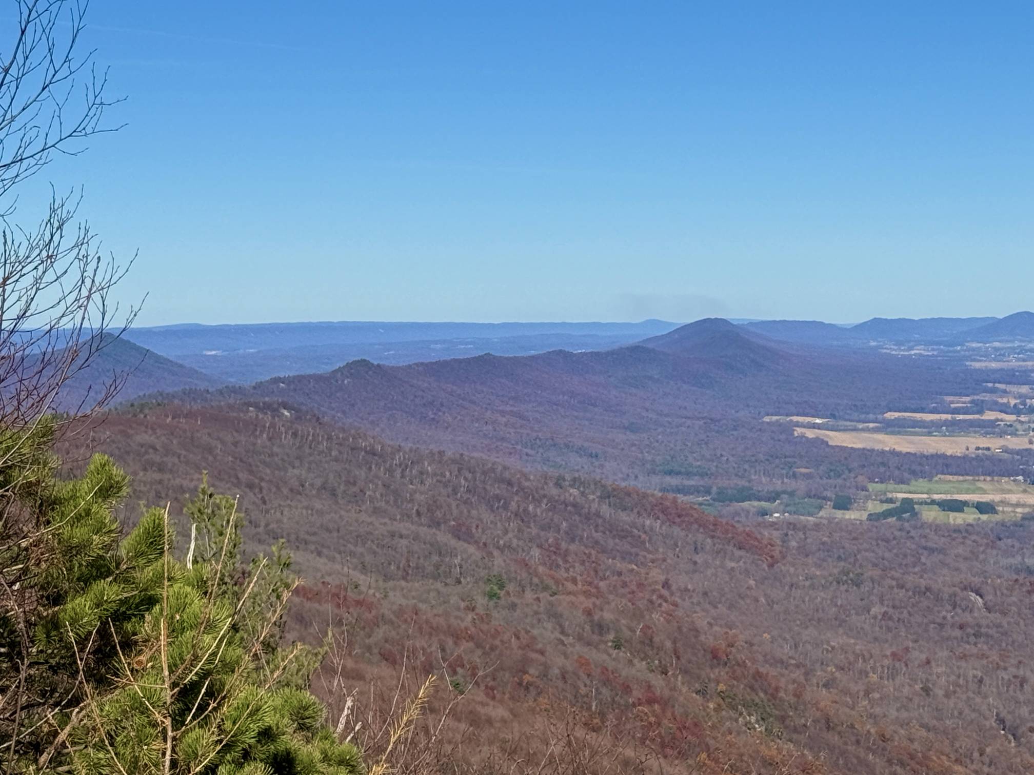 big mountain overlook buchanan state forest