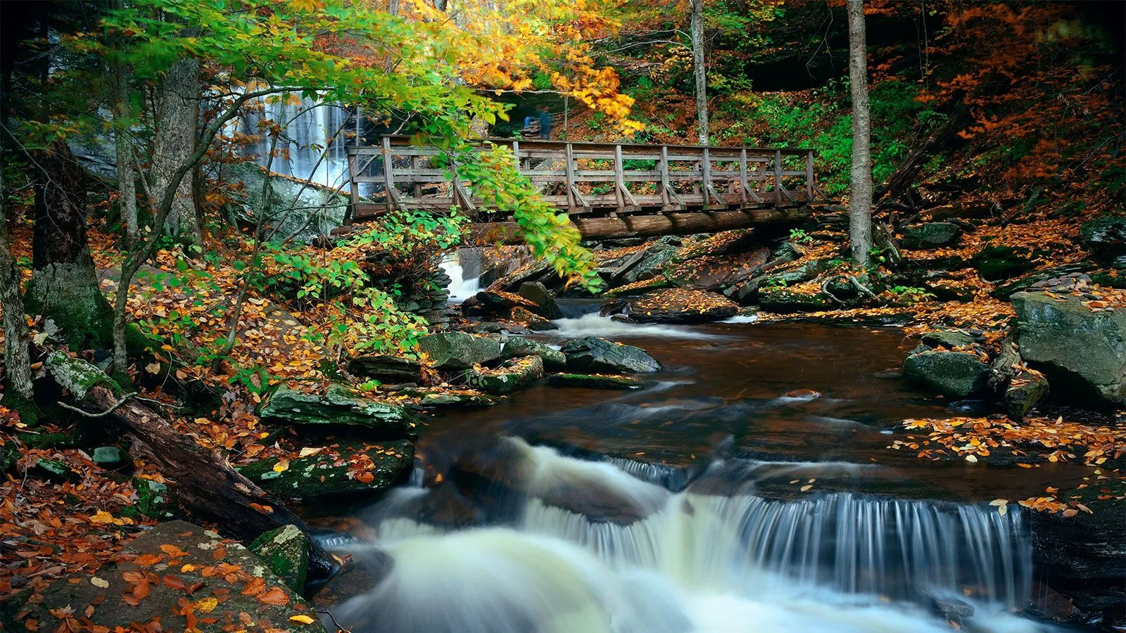 Pennsylvania waterfall autumn foliage trail