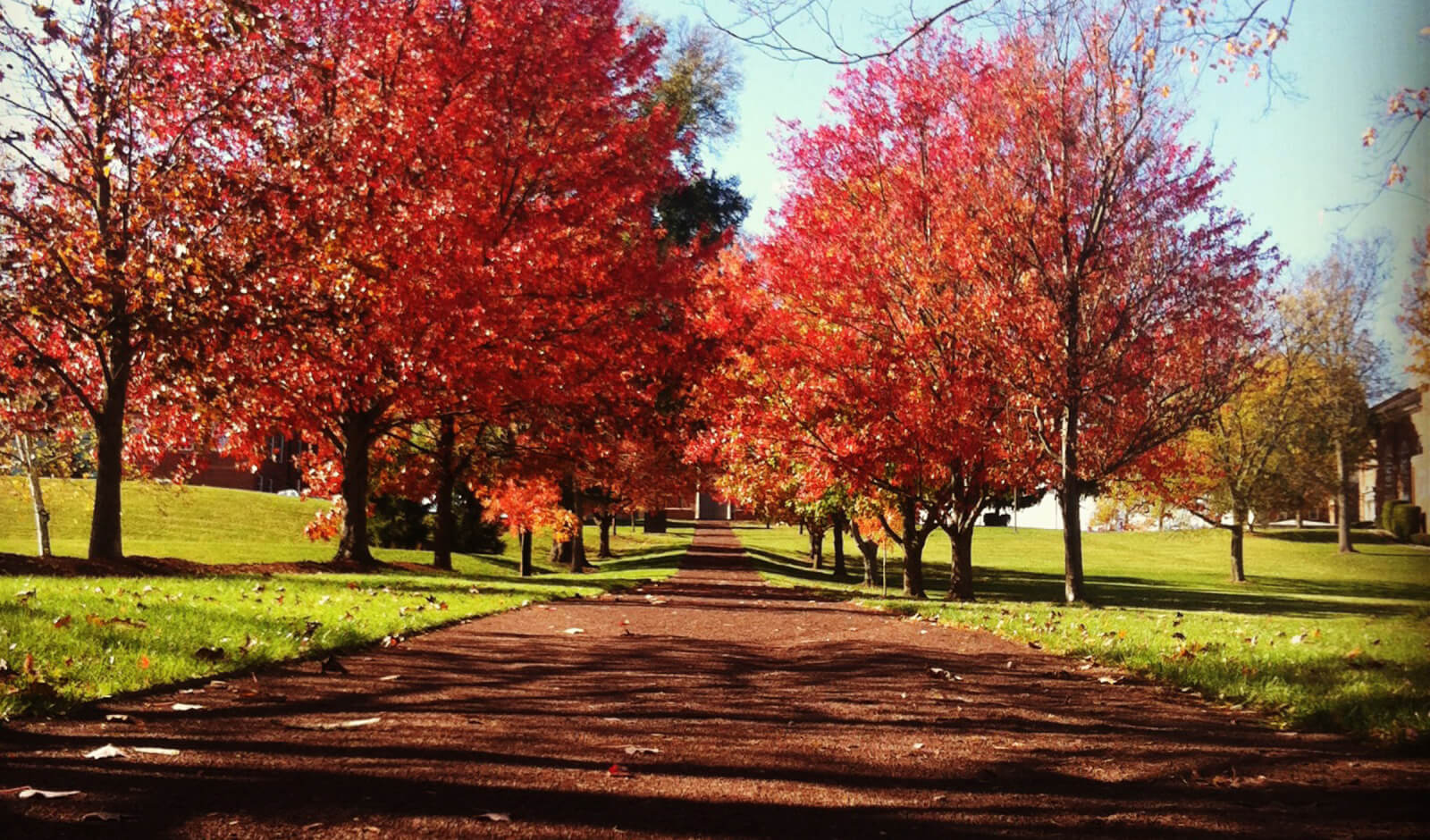 Gettysburg Battlefield fall foliage rolling hills