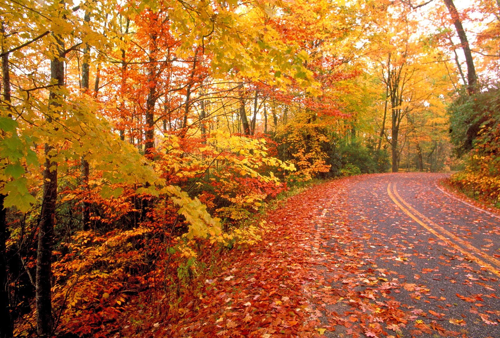 in hudson valley for fall