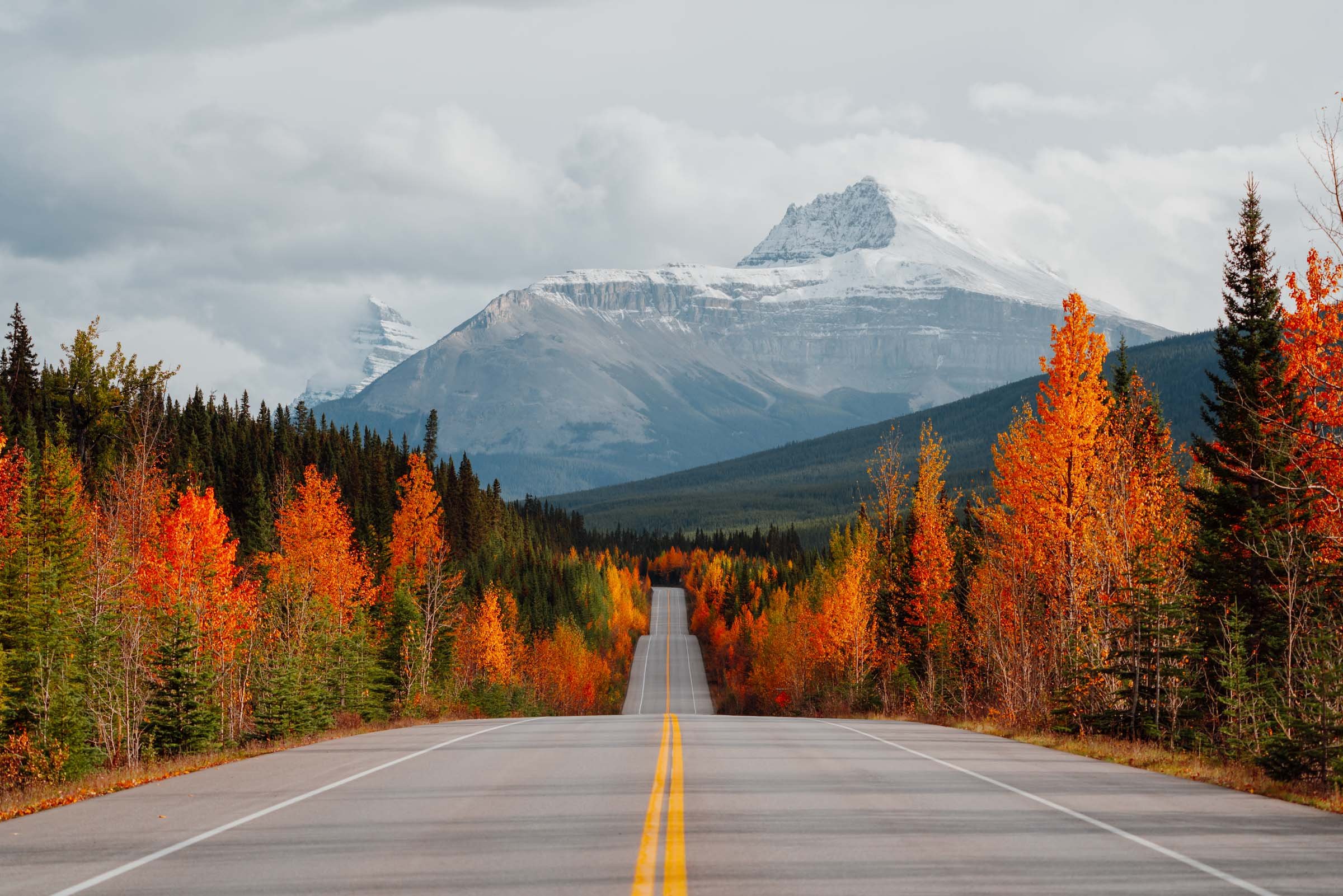 Icefields Parkway fall foliage Canadian Rockies
