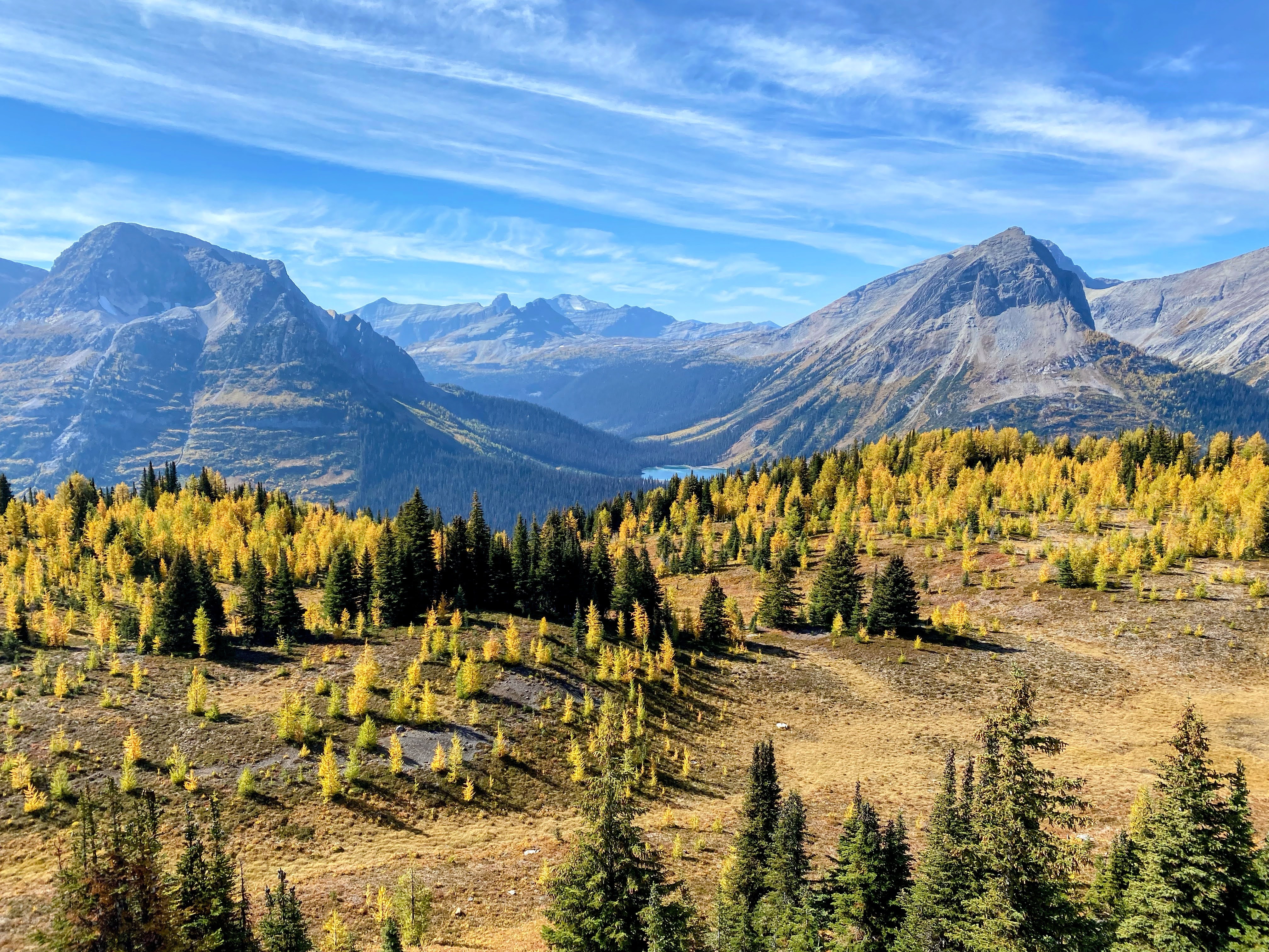 Highway 40 Highwood Pass autumn larch trees