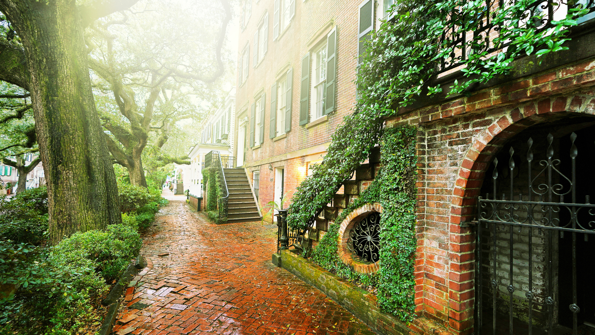 in savannah georgia in the fall