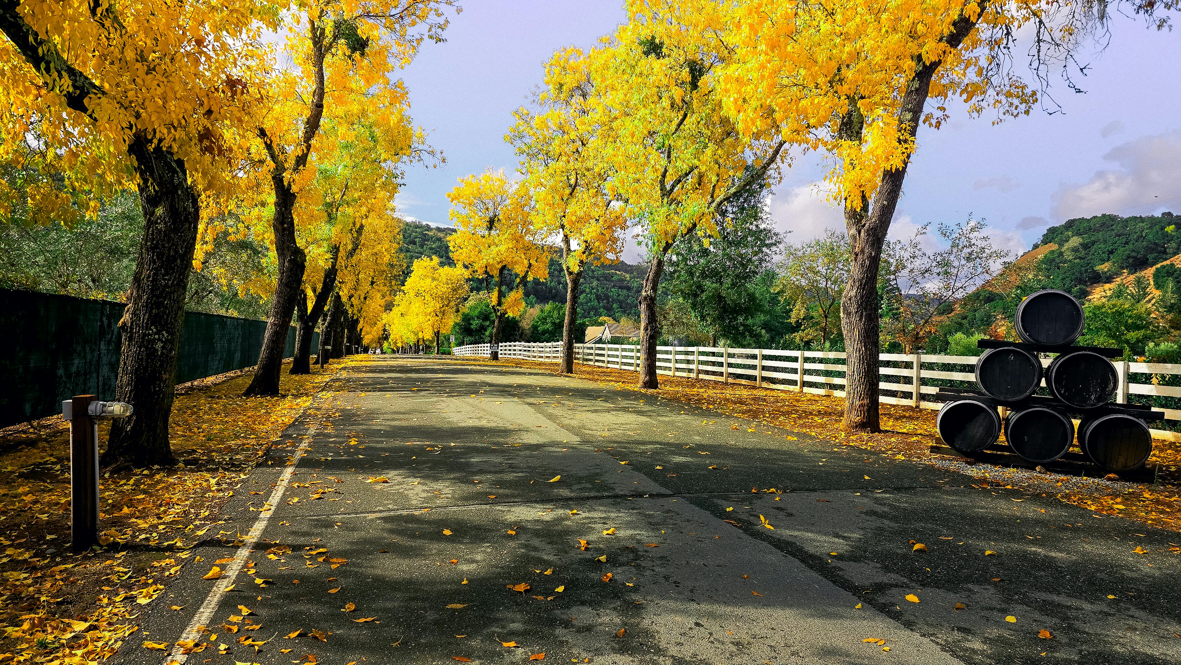 Napa Valley autumn vineyards golden hour