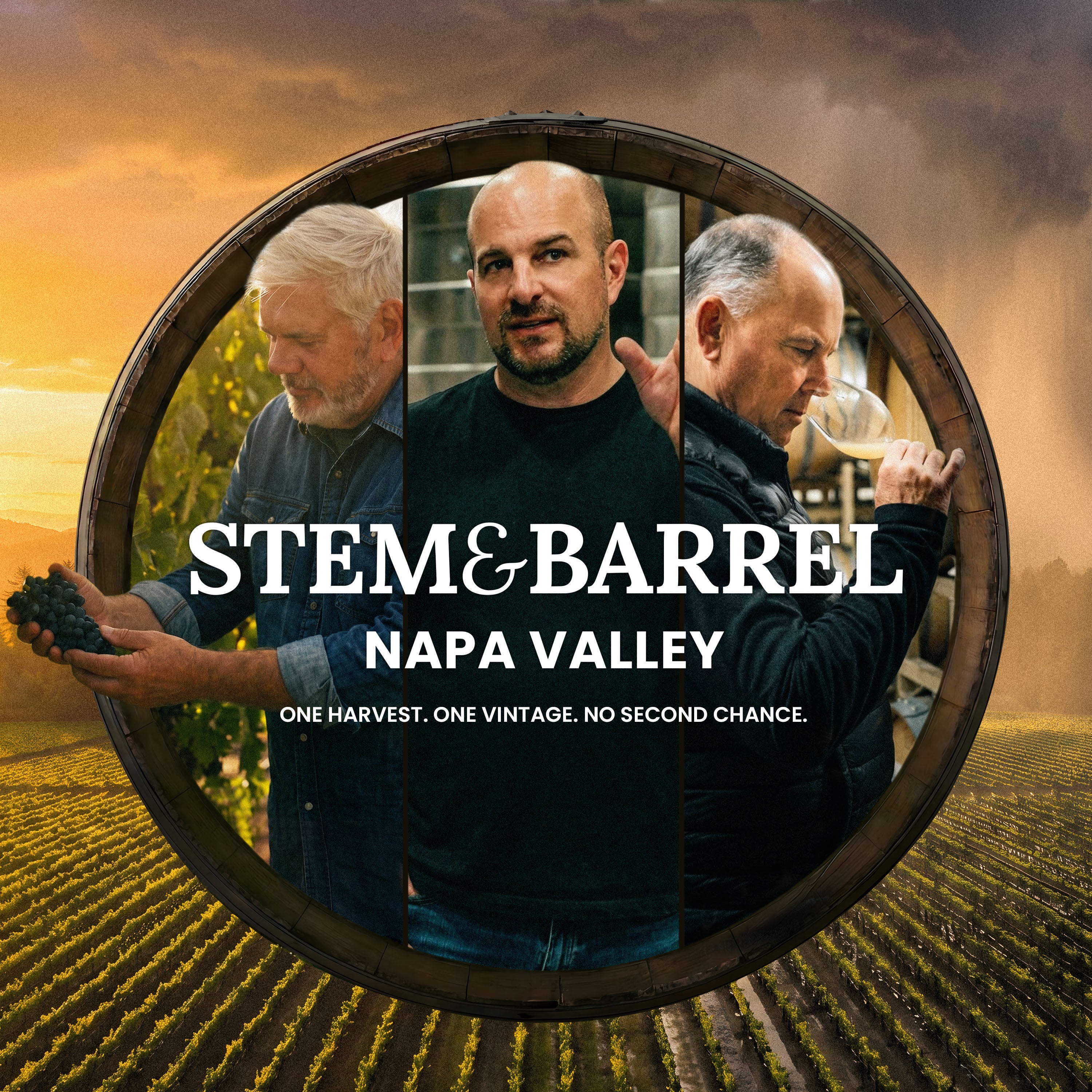 Napa Valley harvest winery tour tasting