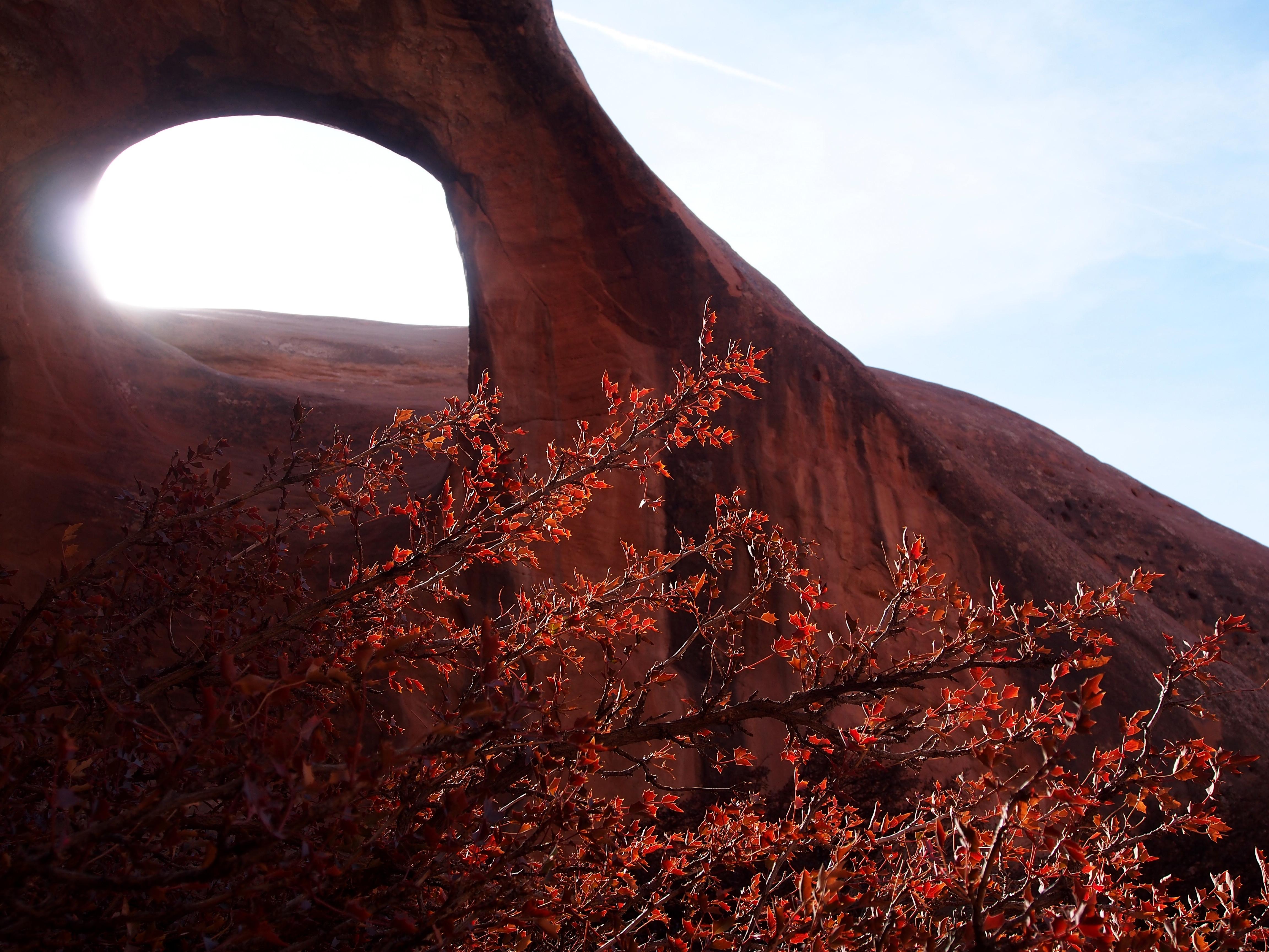 Arches National Park red rock formations fall