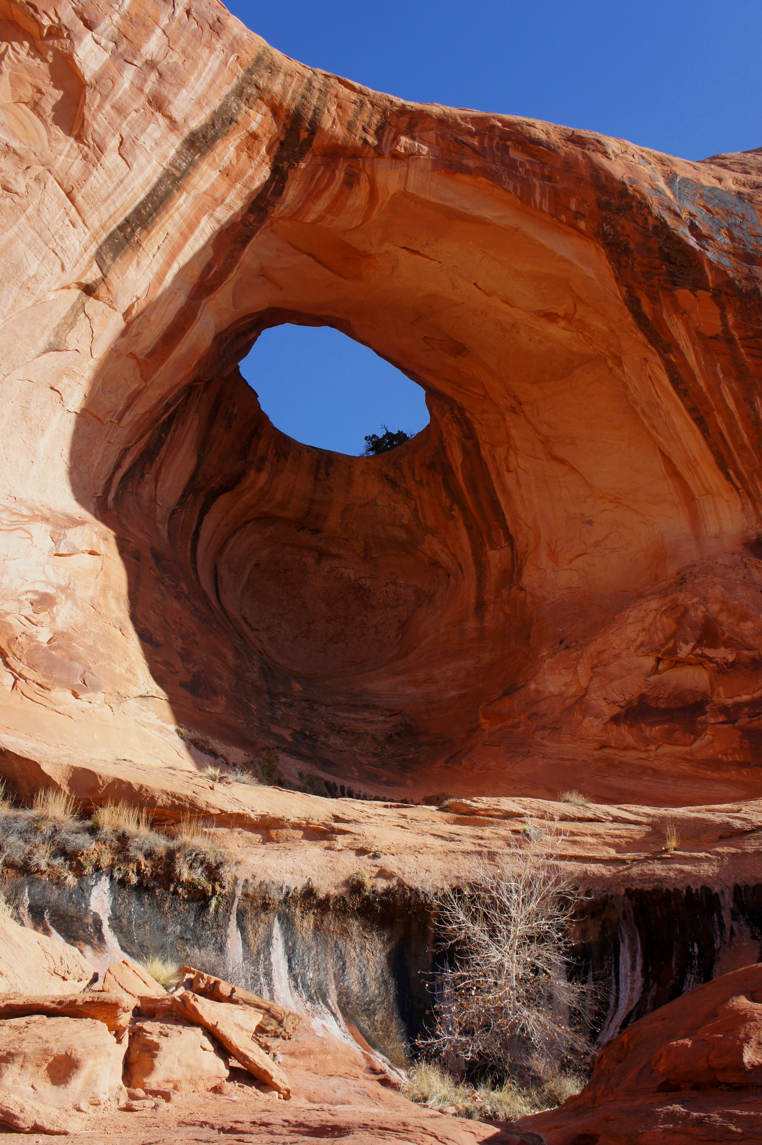 corona arch moab fall trail