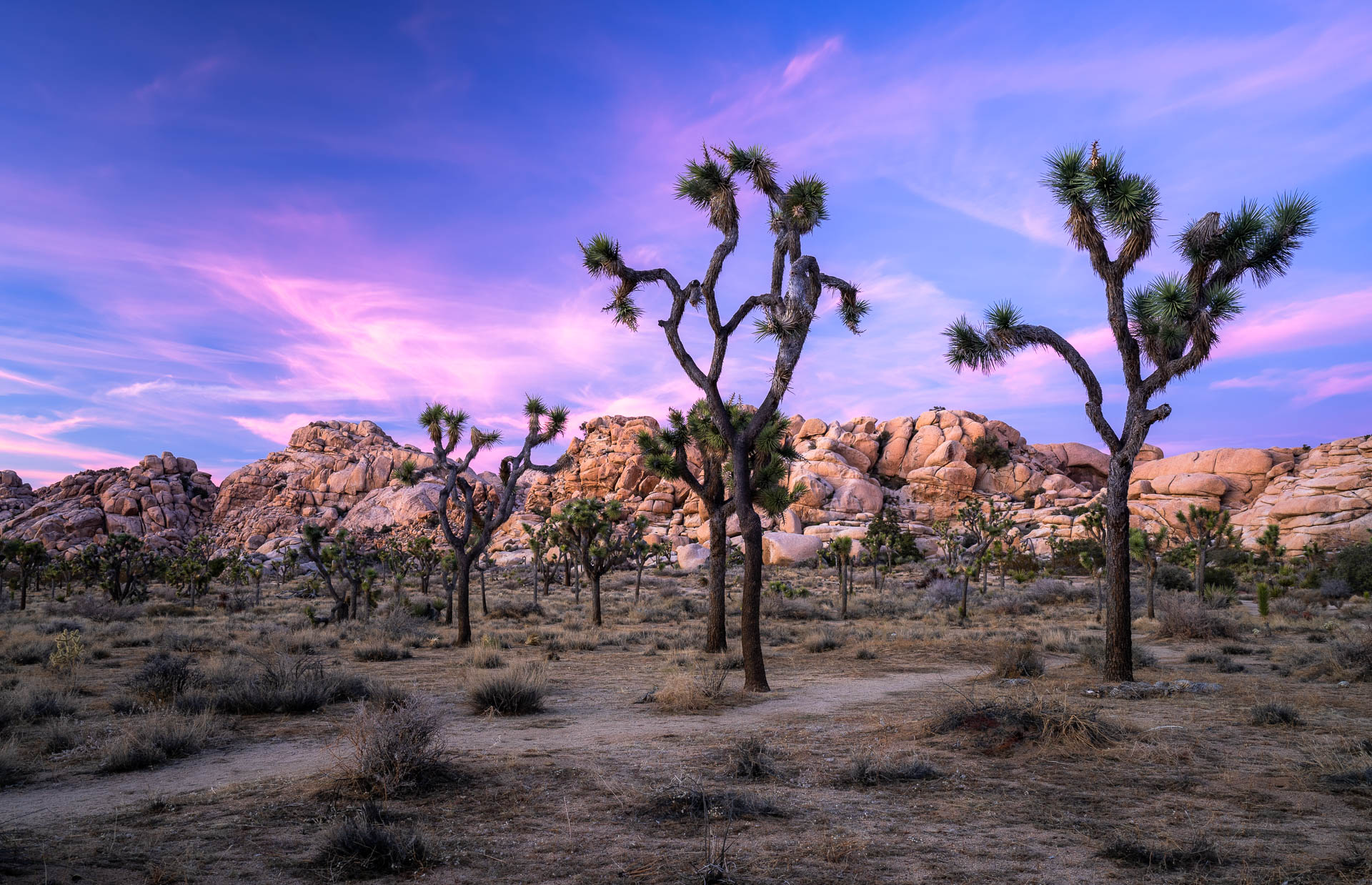 Joshua Tree National Park October golden hour boulders sunset