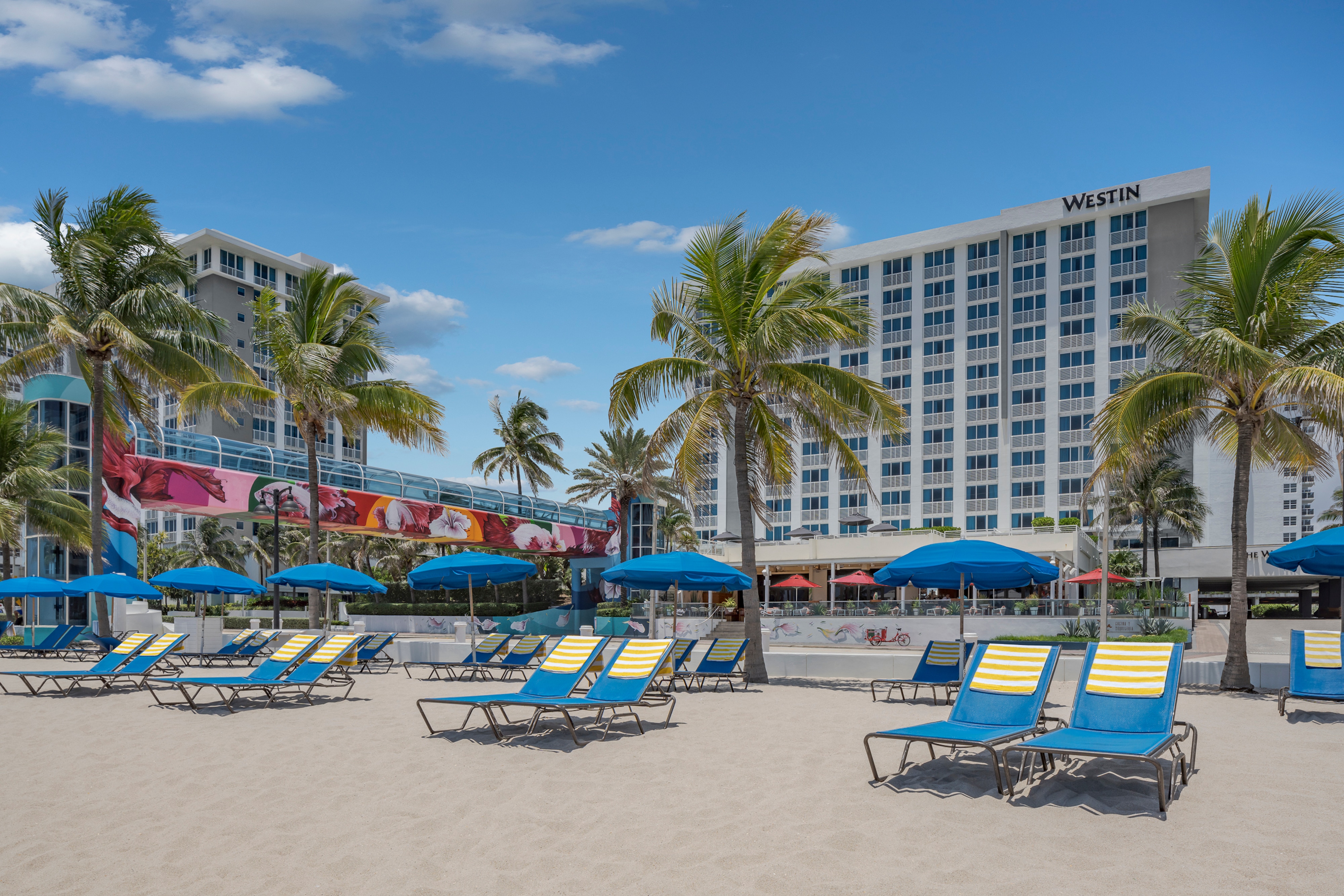 fort lauderdale beach resort waterfront
