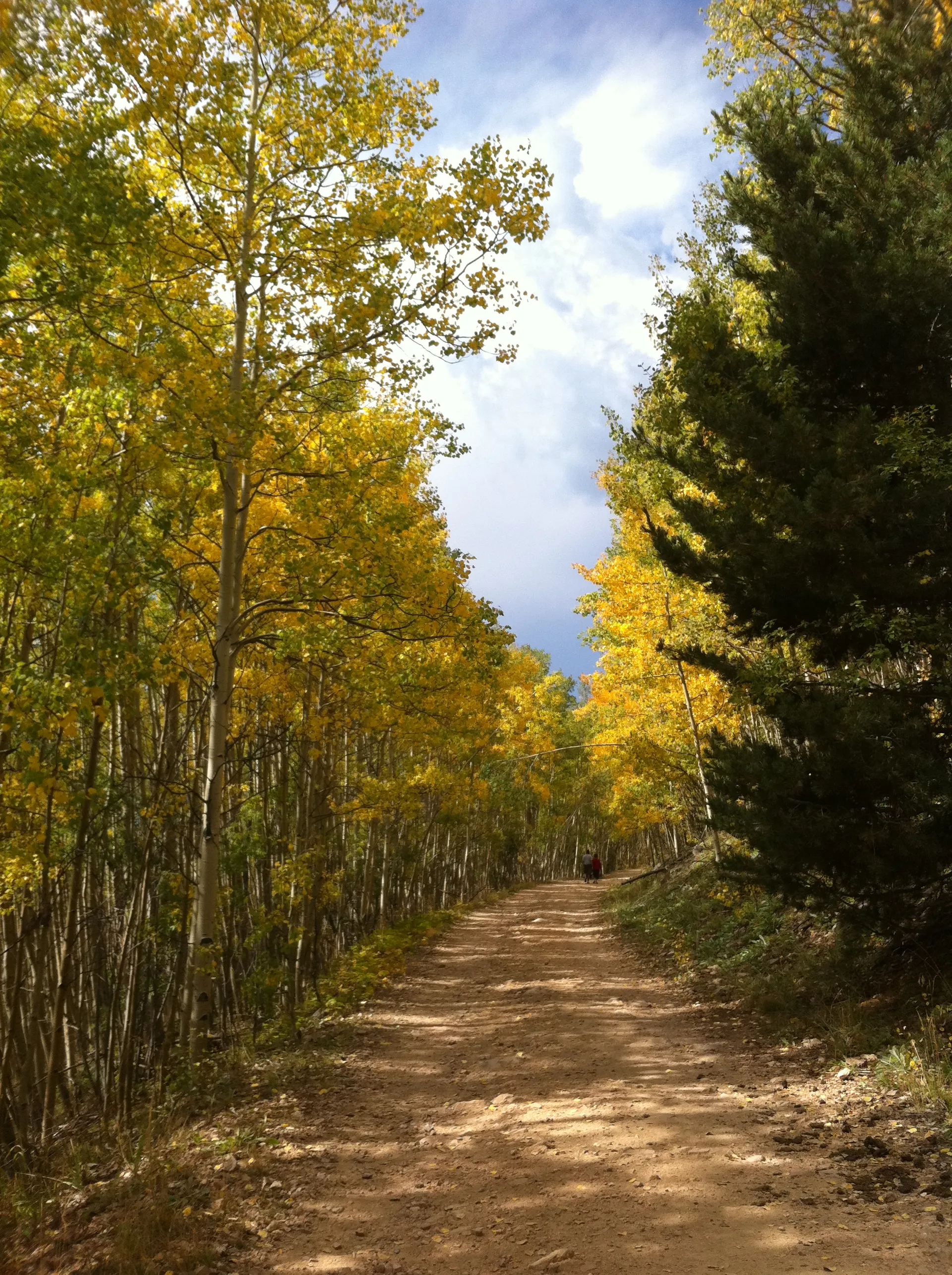 santa fe aspen grove fall hiking trail