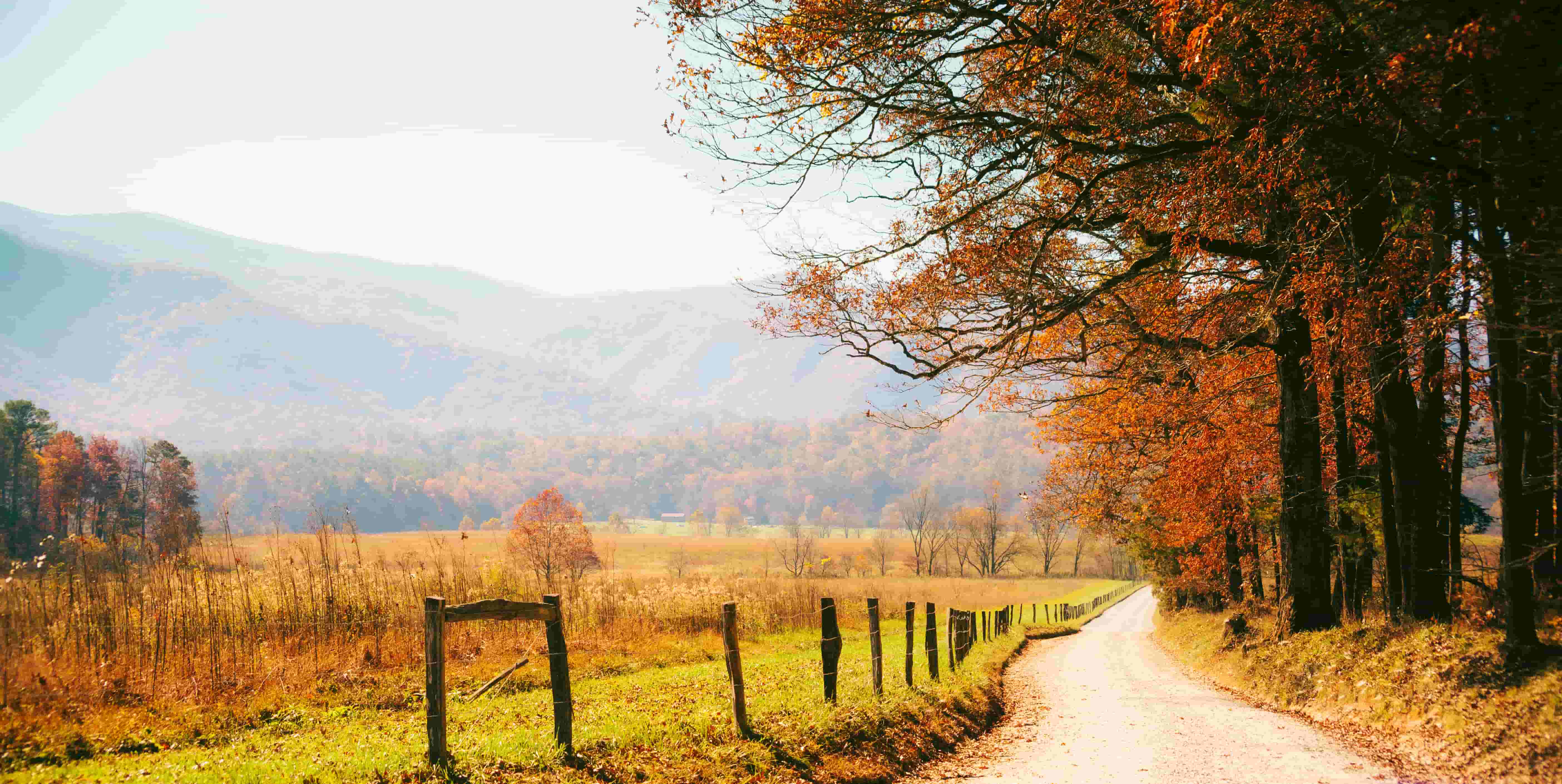 Great Smoky Mountains fall foliage trail