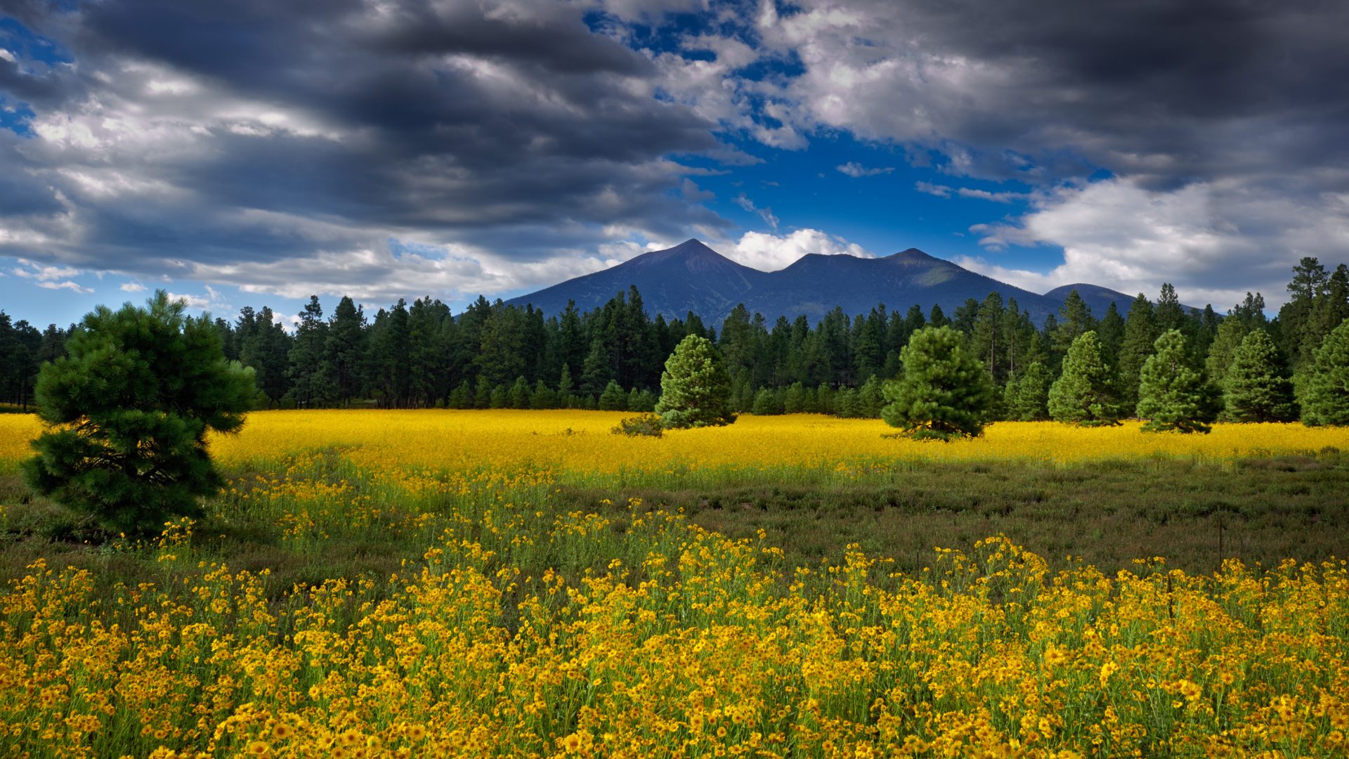 flagstaff arizona san francisco peaks november