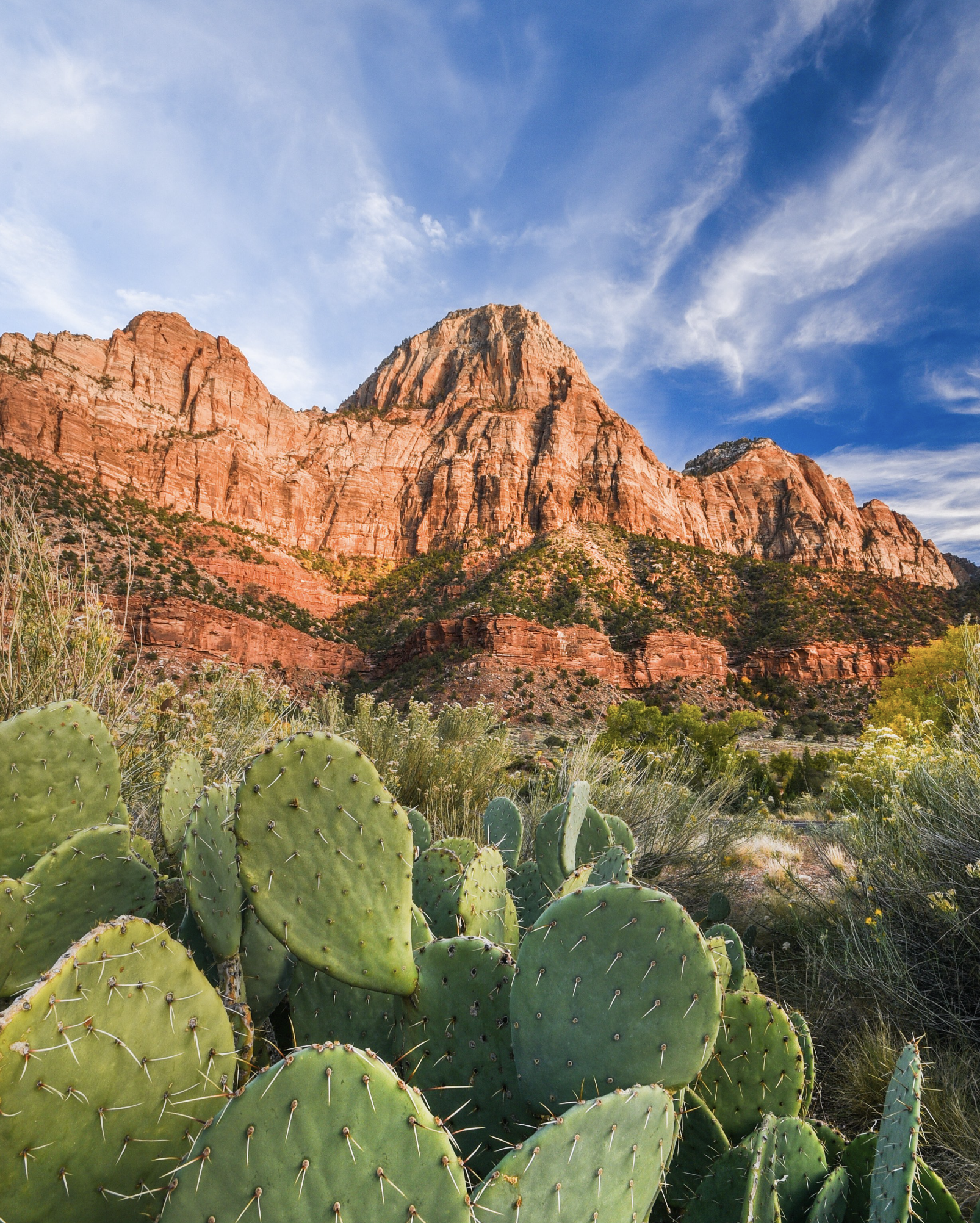 southwest desert landscape November golden light