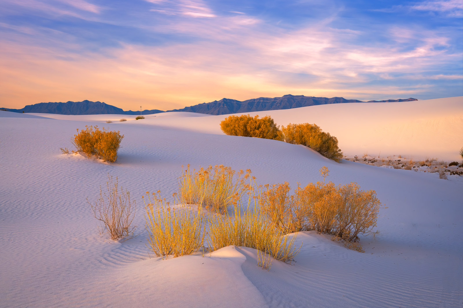 White Sands National Park sunset dunes