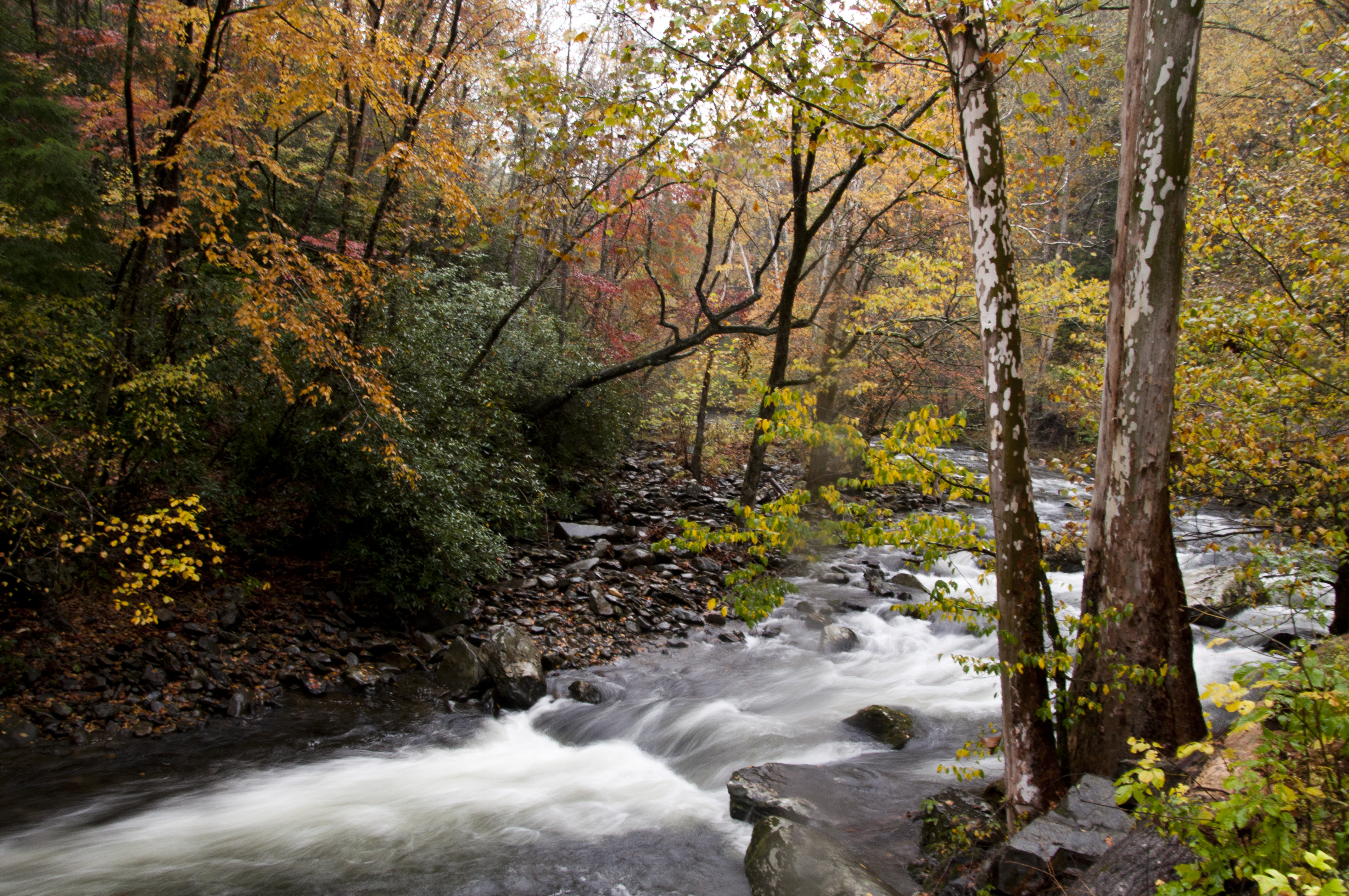 Great Smoky Mountains fall foliage