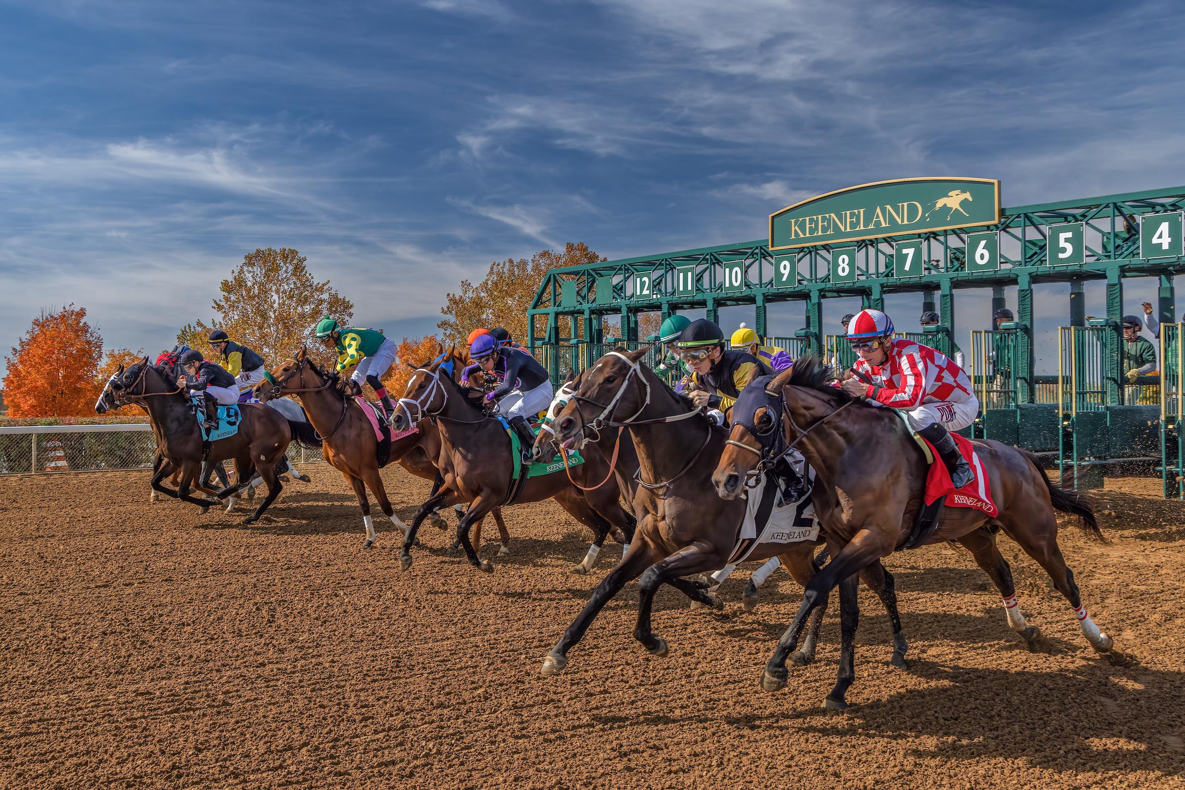 Keeneland fall horse racing Lexington Kentucky
