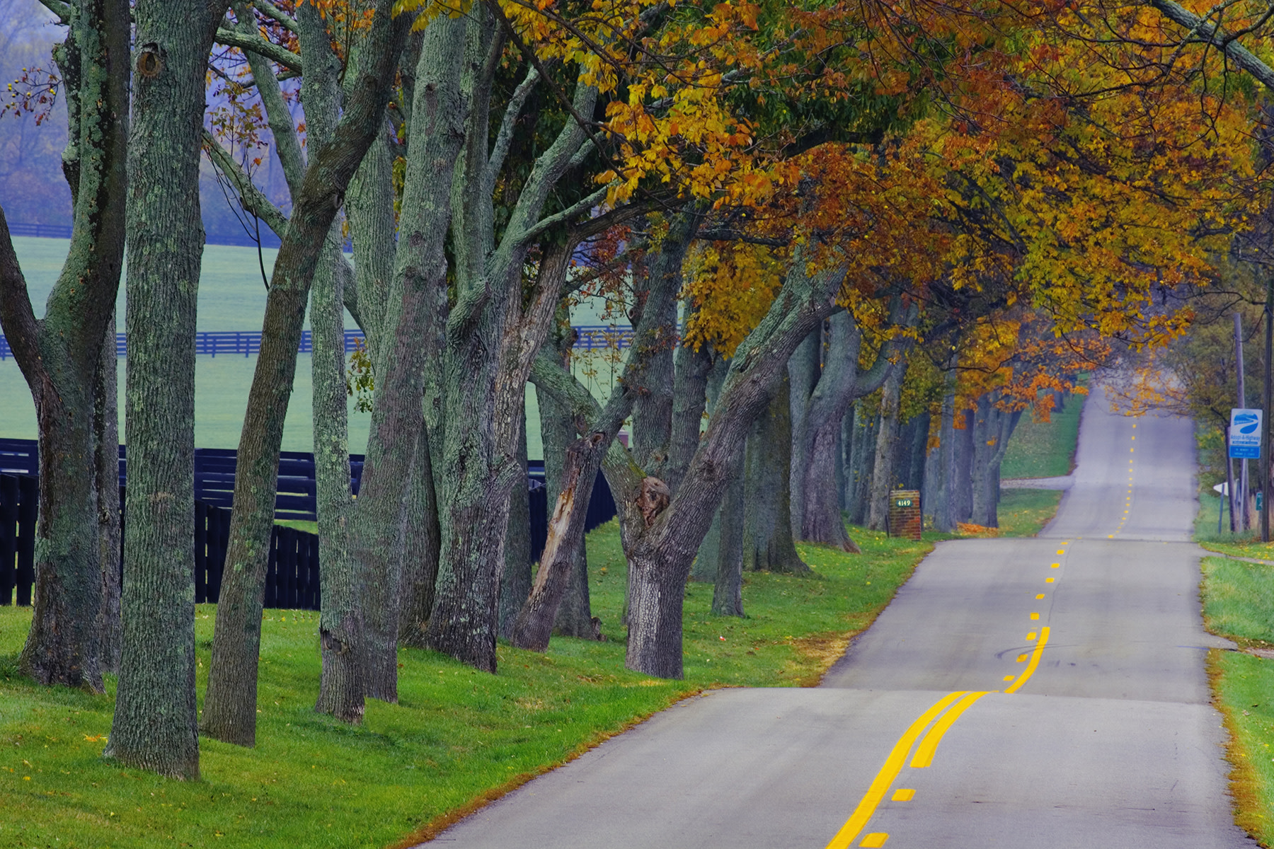 Old Frankfort Pike scenic drive fall foliage Kentucky