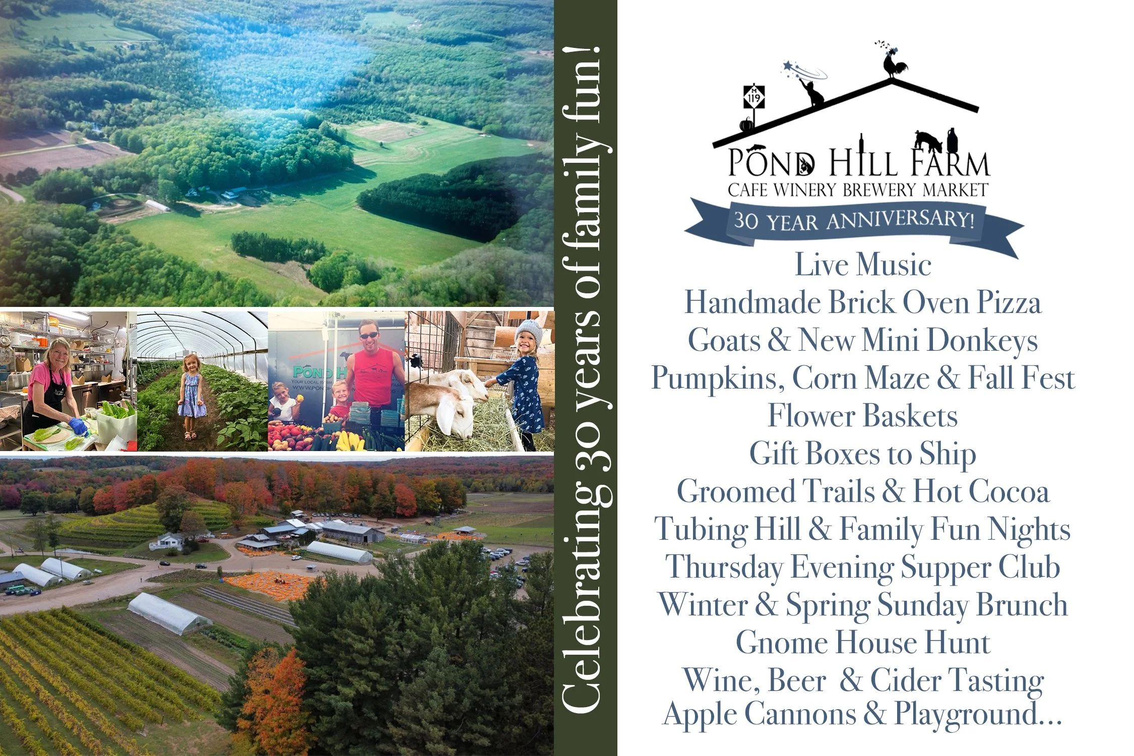 Windy Hill Farm Great Barrington pumpkins