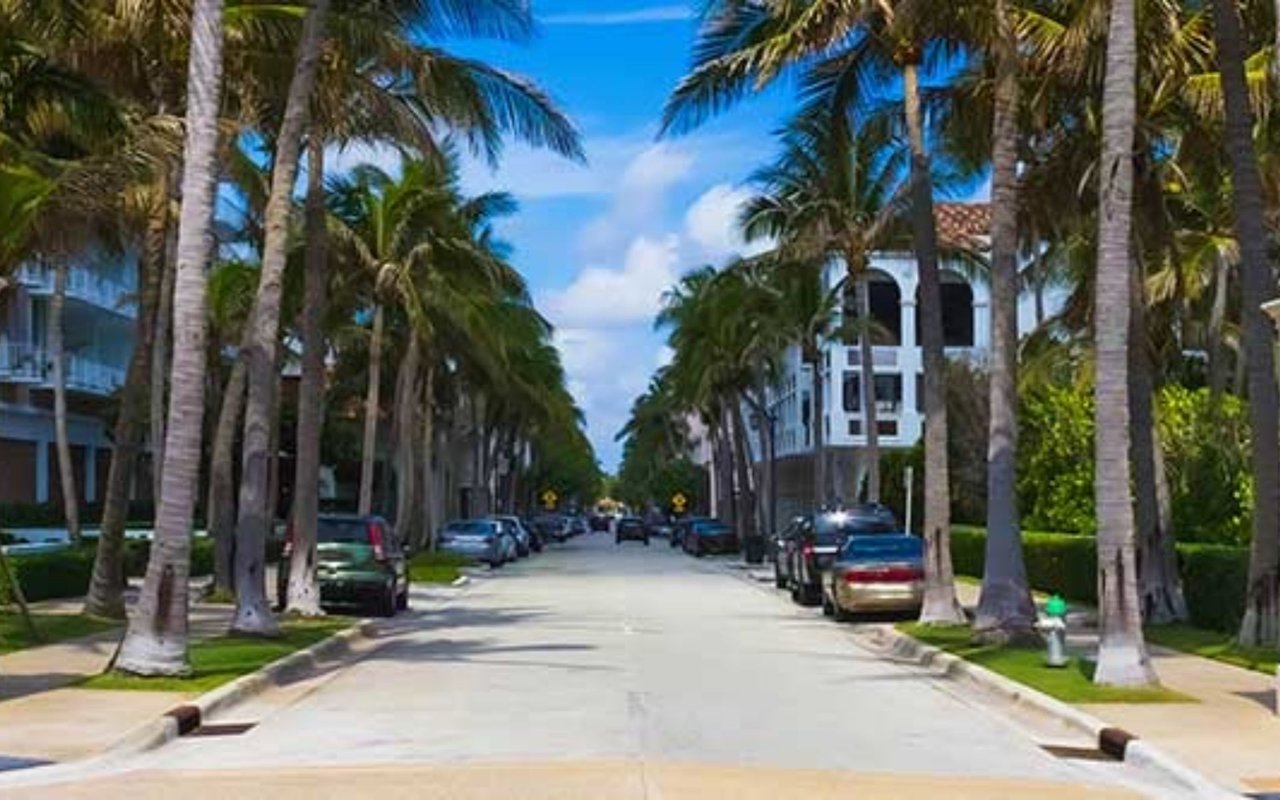 Florida palm tree city street