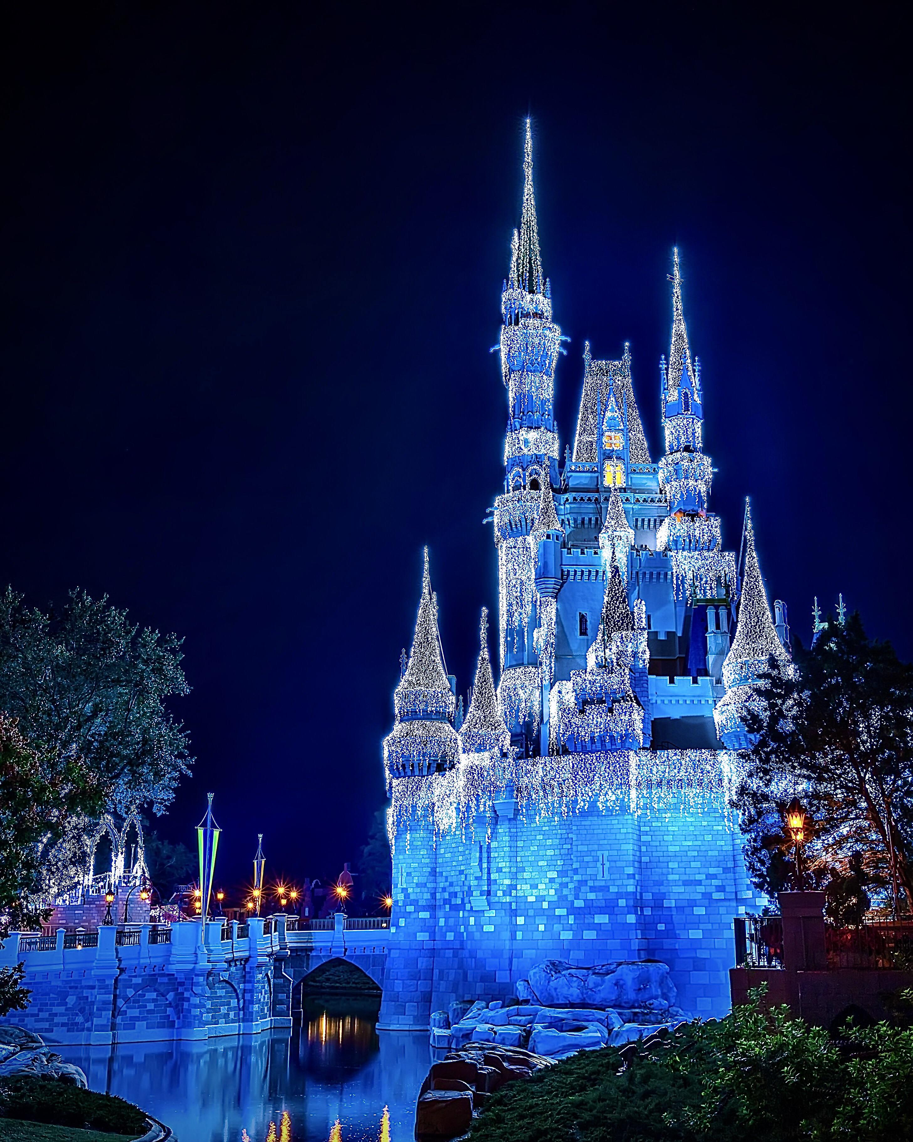 Disney Christmas castle lights