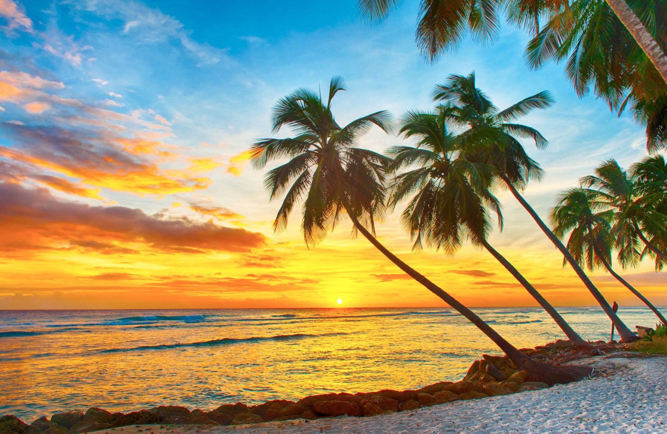 tropical beach winter sun December