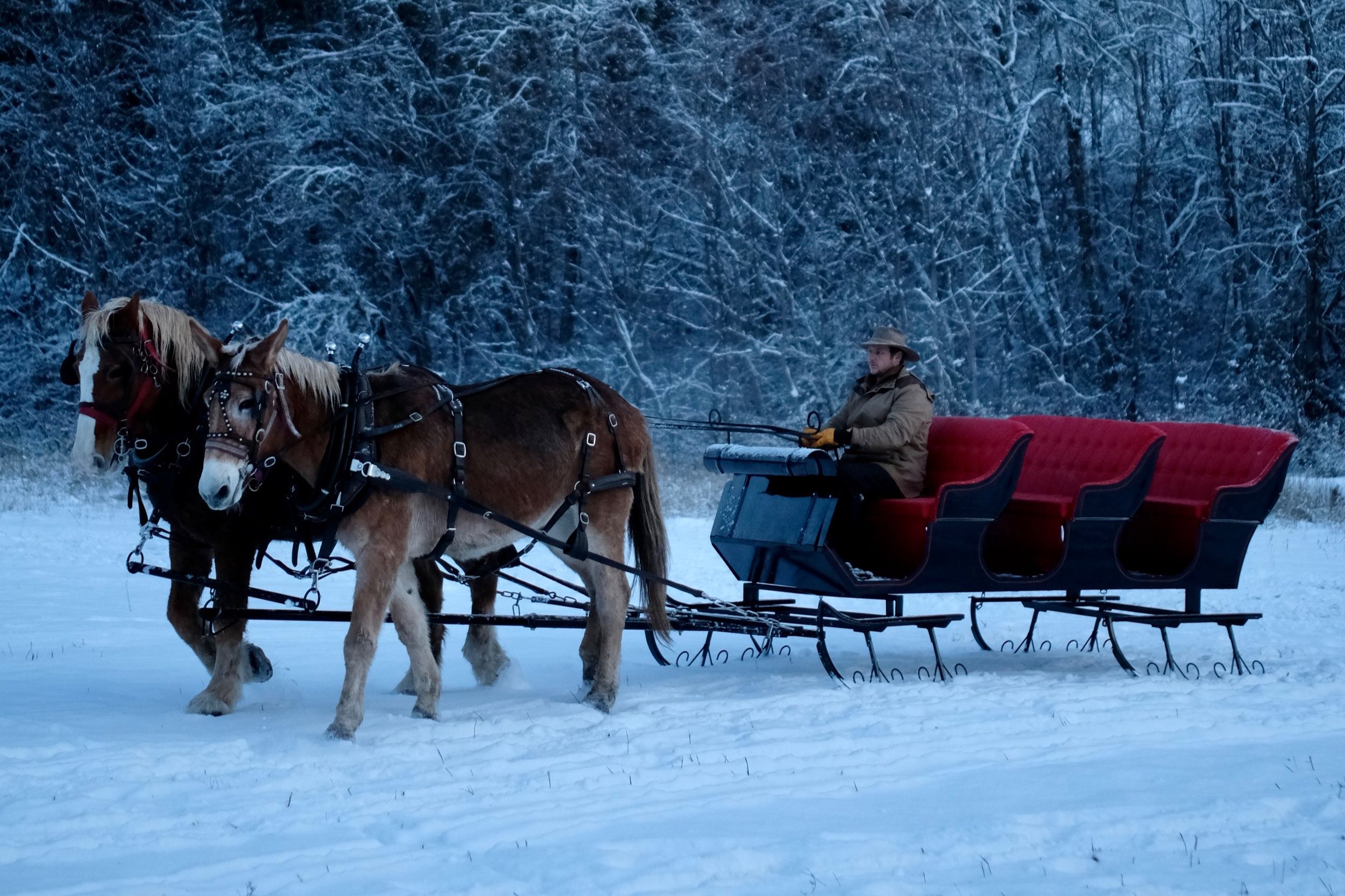 Leavenworth sleigh ride snow winter