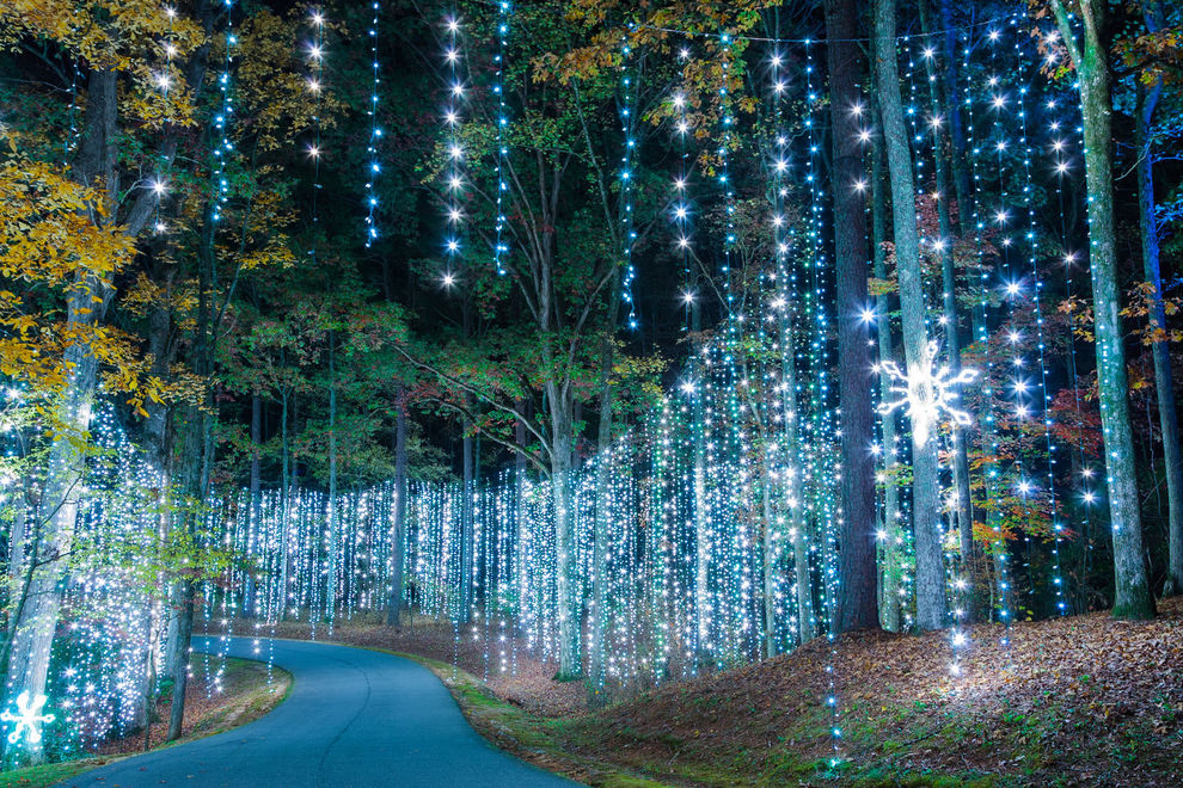 Fantasy in Lights Callaway Gardens