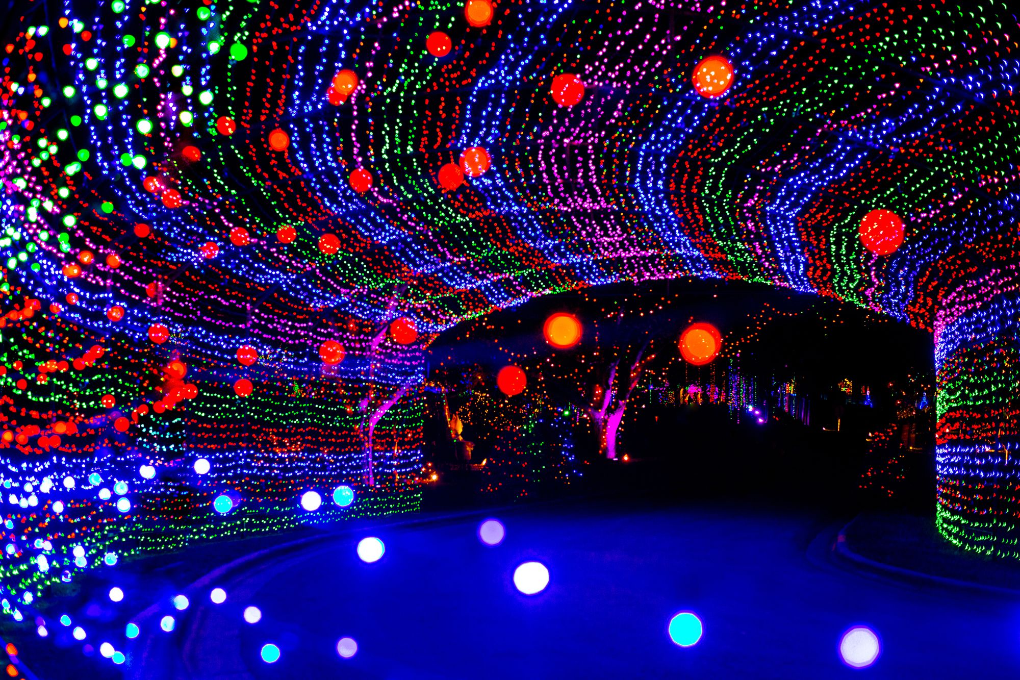 Austin Trail of Lights Zilker Park Christmas
