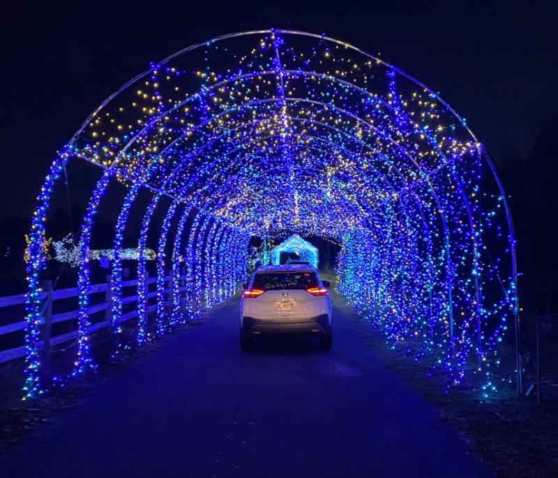 Gardens Aglow Coastal Maine Botanical Gardens lighted pathways trees